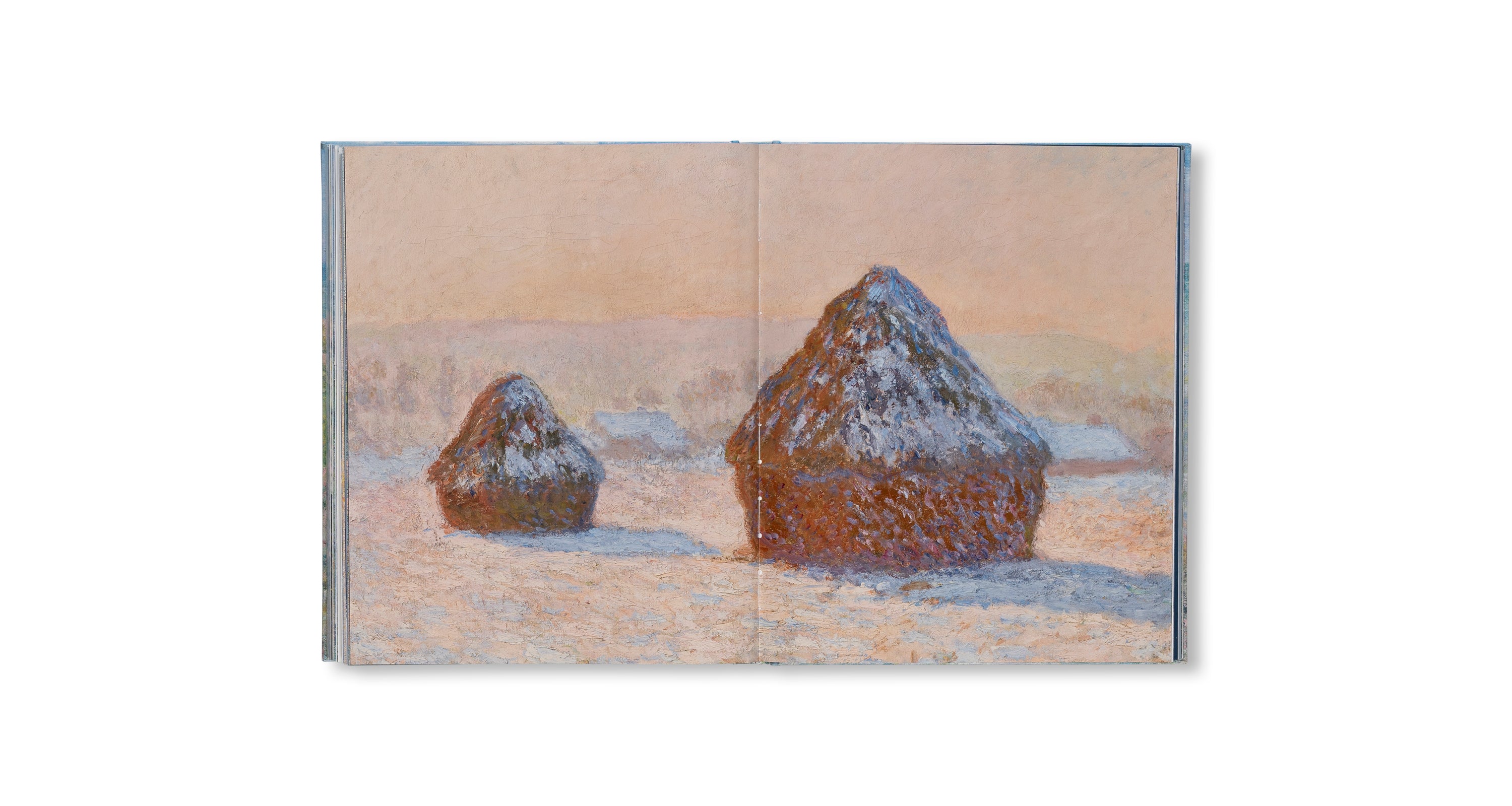 MONET - THE BIGGER PICTURE by Anne Sefrioui