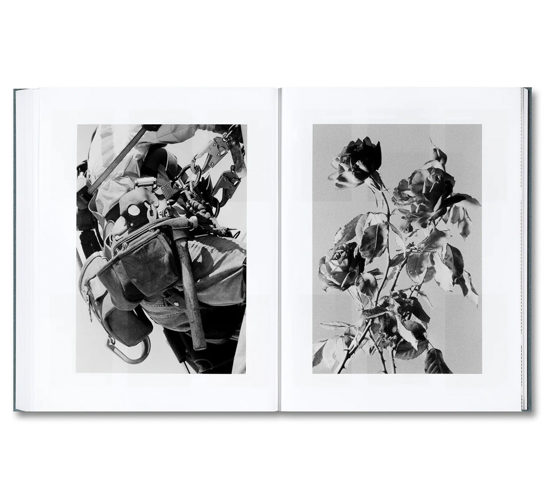 DISTRIBUTION by Daniel Shea [SIGNED]