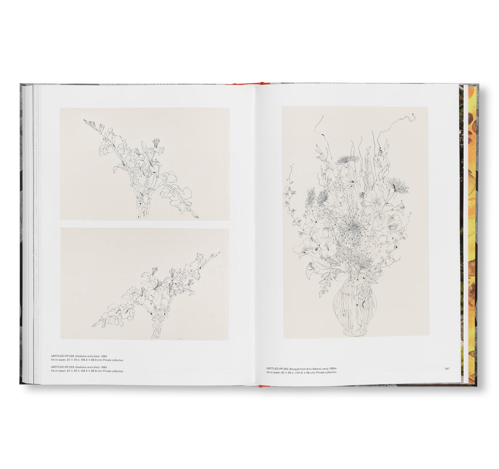 RETROSPECTIVE by Ruth Asawa