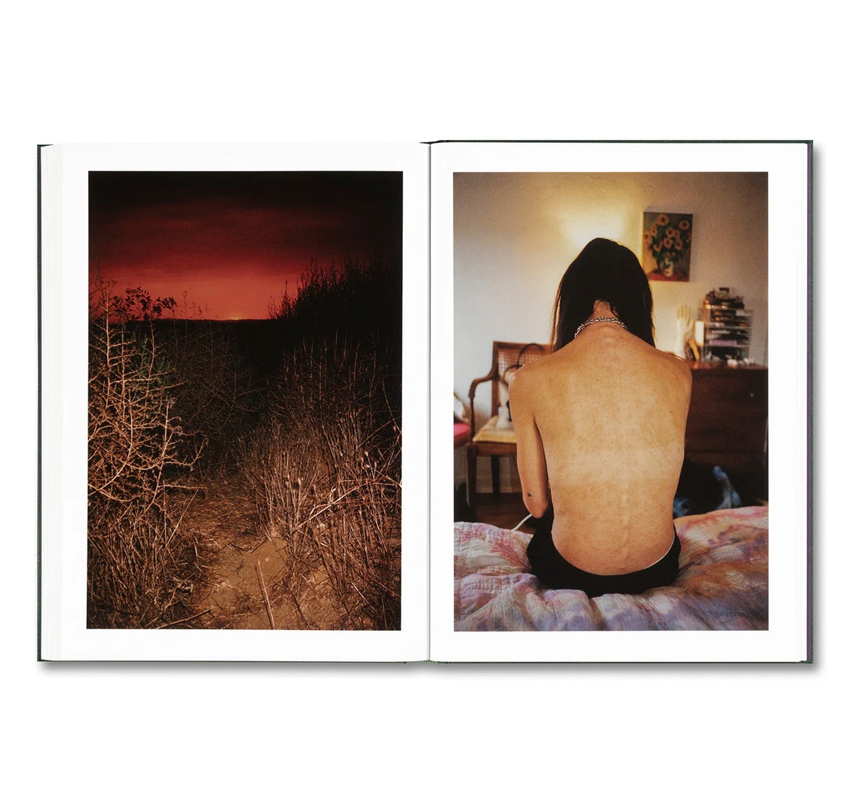 HOW ABOUT NEVER by Jerry Hsu [SIGNED]