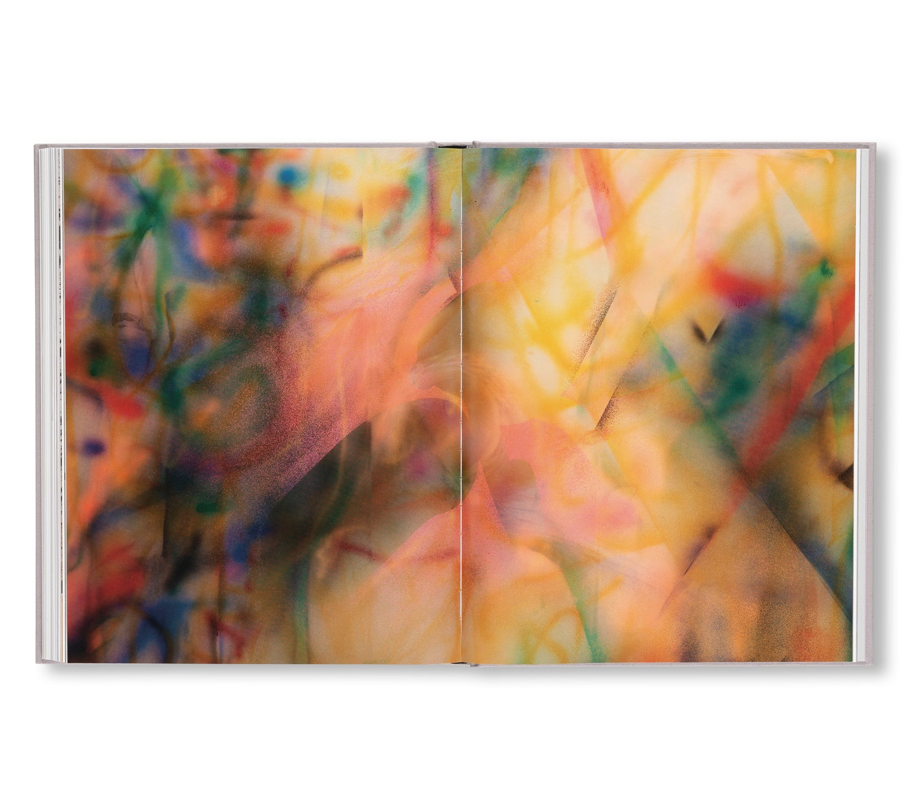 A TRANSCORE OF THE RADICAL IMAGINATORY by Julie Mehretu