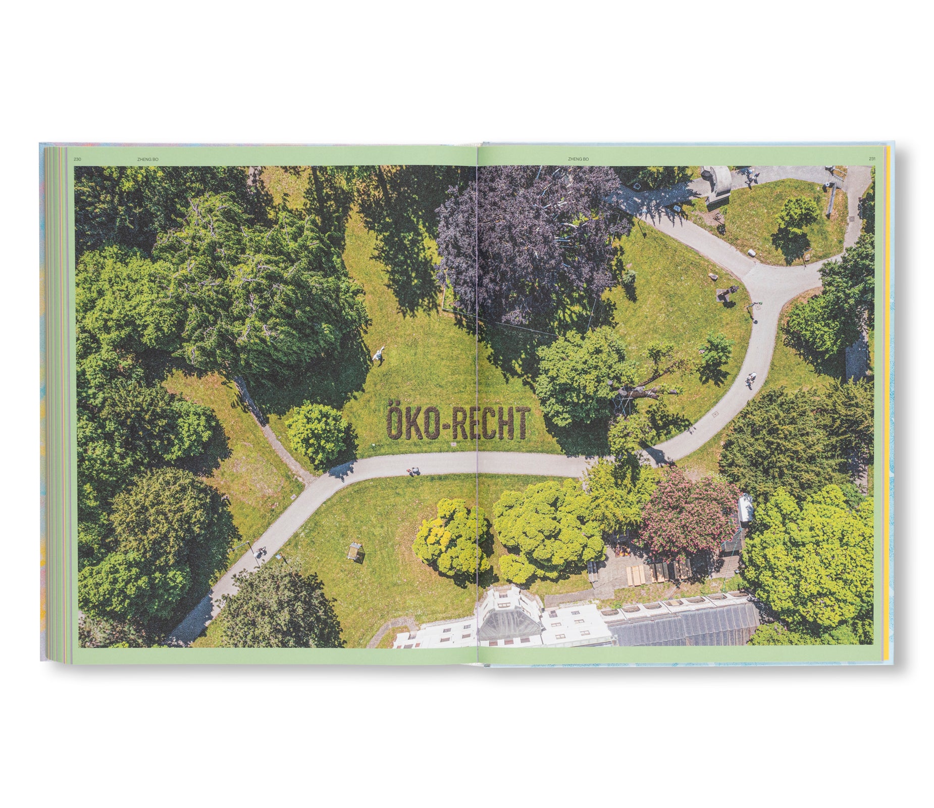 THE SENSES OF PLANTS