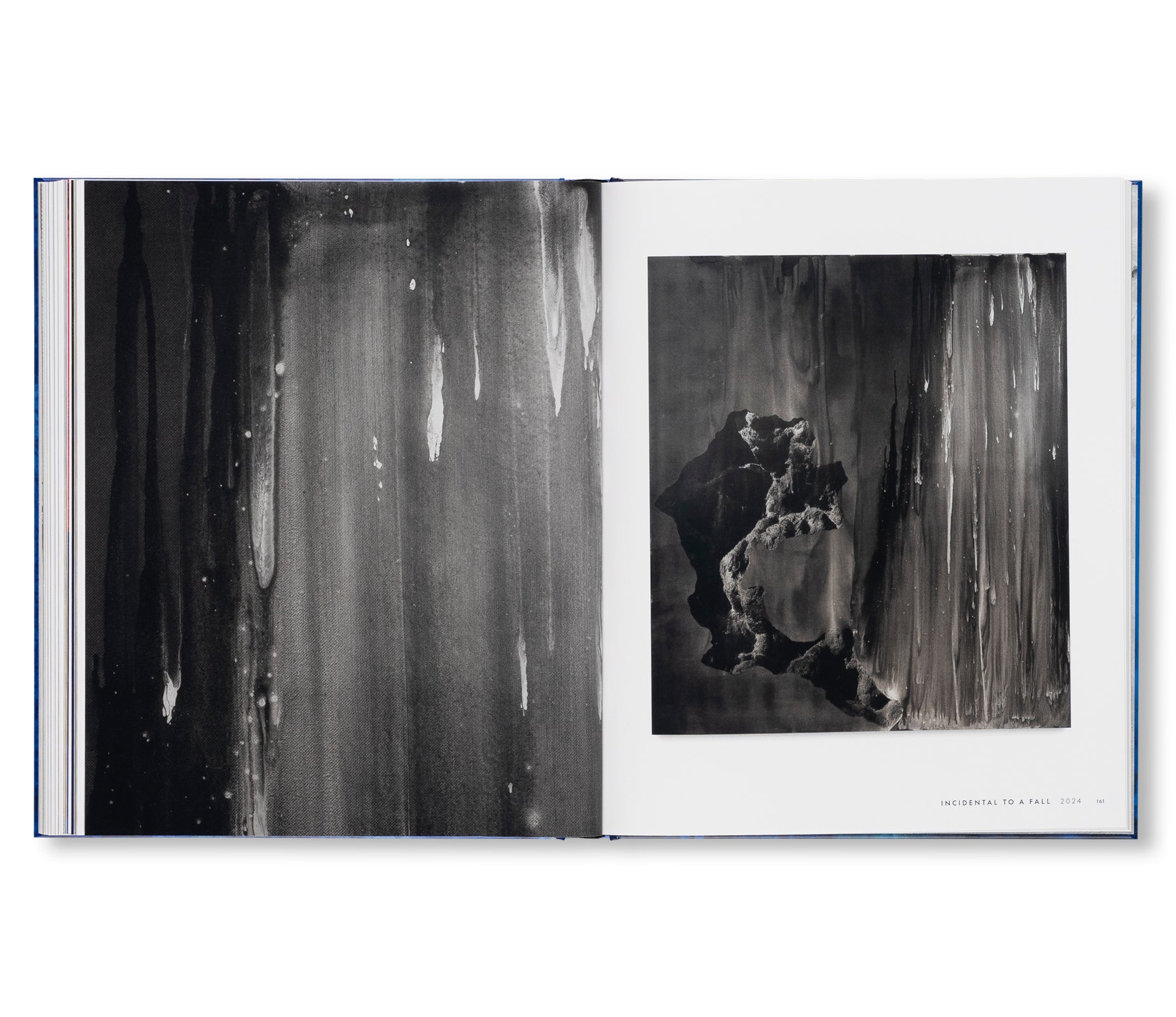 SOURCE NOTES by Lorna Simpson