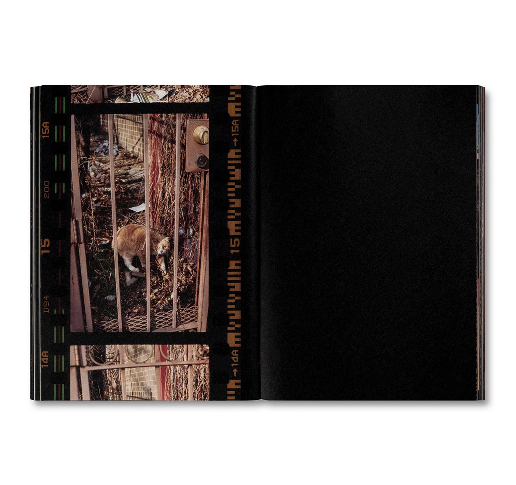 SMALL DEATH by Martha Naranjo Sandoval