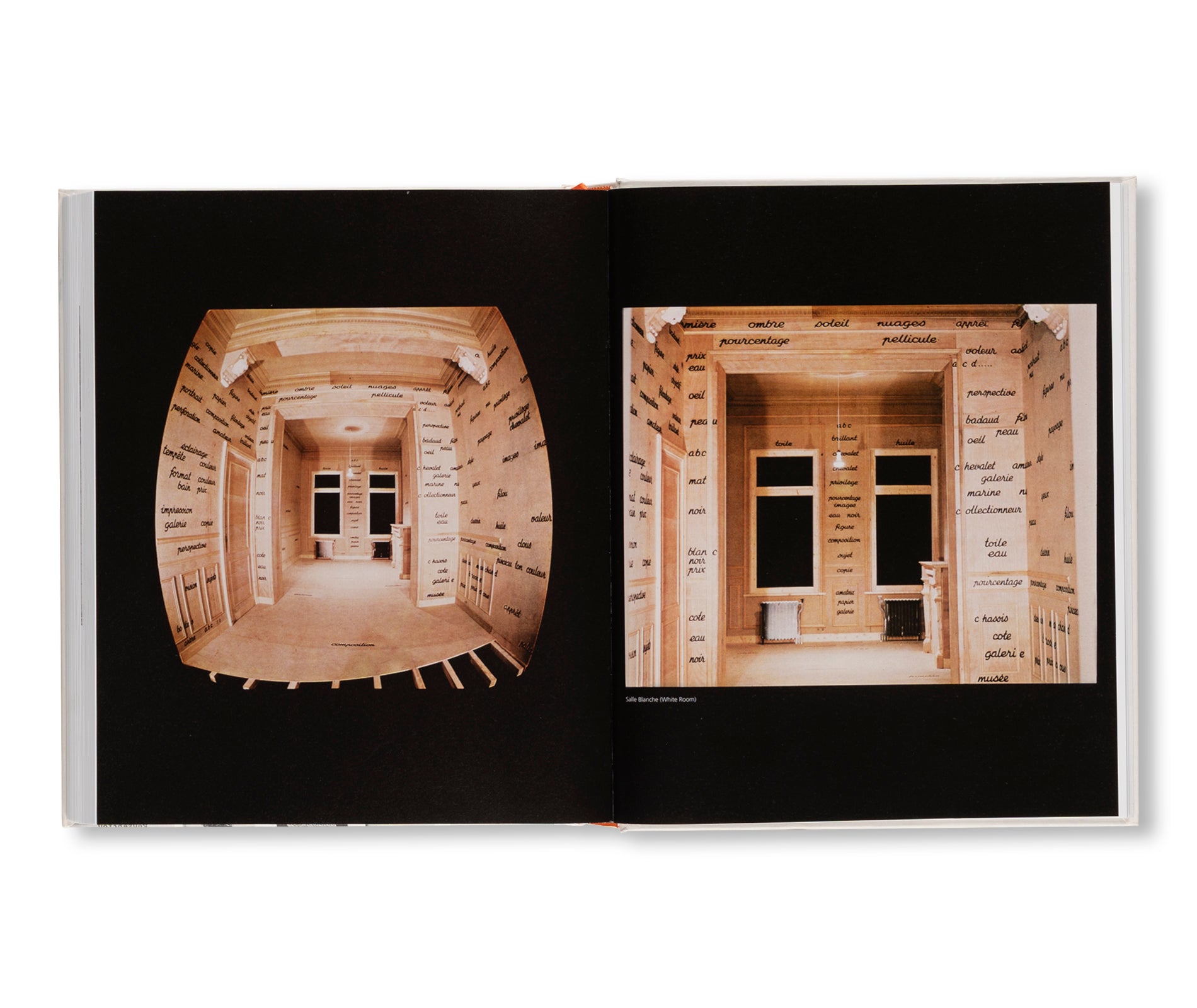 MARCEL BROODTHAERS: COLLECTED WRITINGS by Marcel Broodthaers