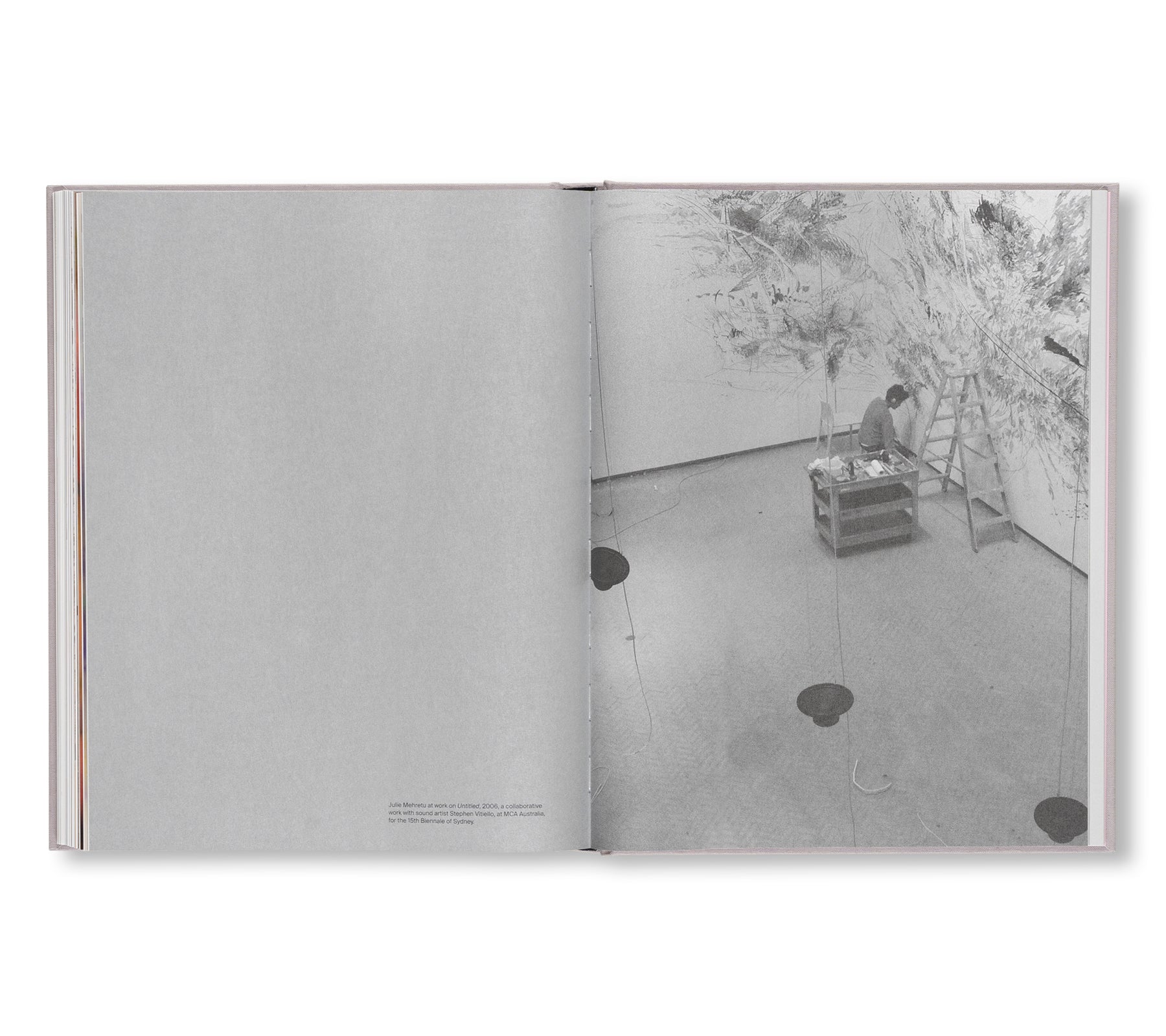 A TRANSCORE OF THE RADICAL IMAGINATORY by Julie Mehretu