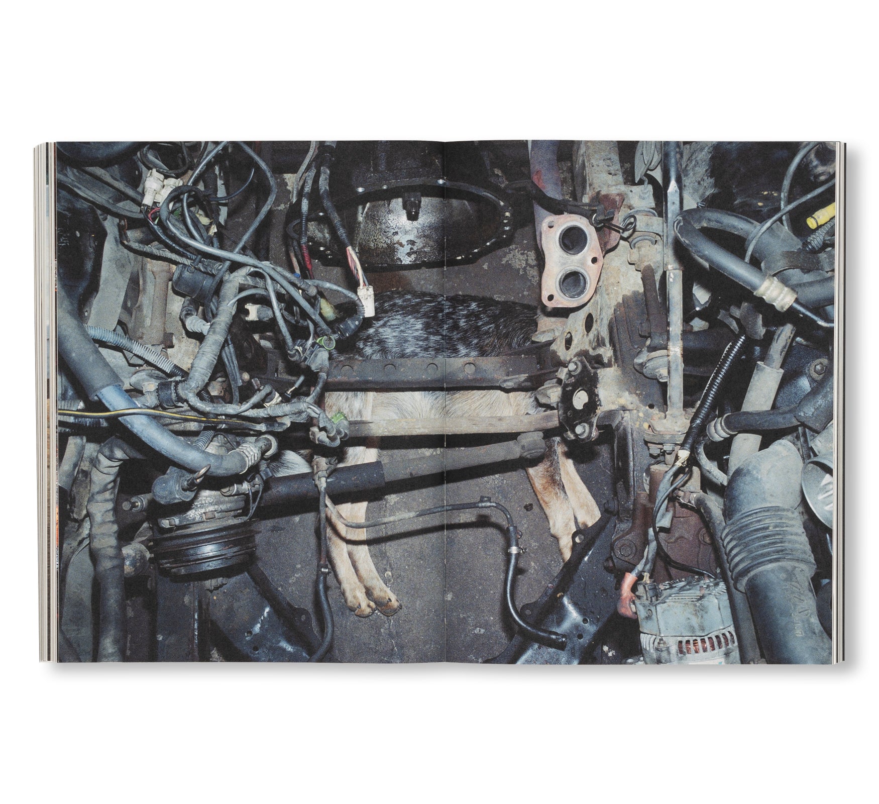 FAILING by Mike Brodie