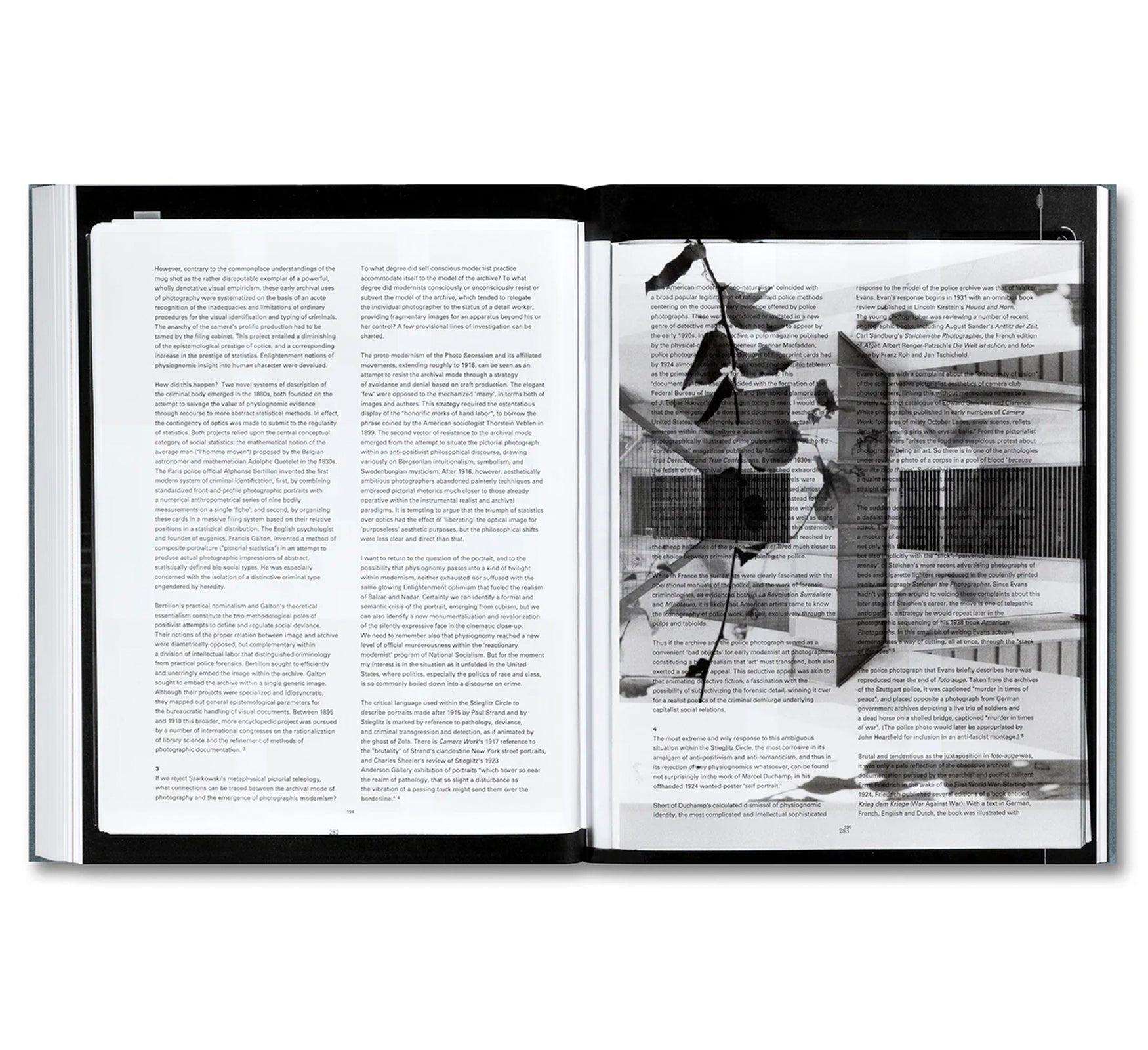 DISTRIBUTION by Daniel Shea [SIGNED]