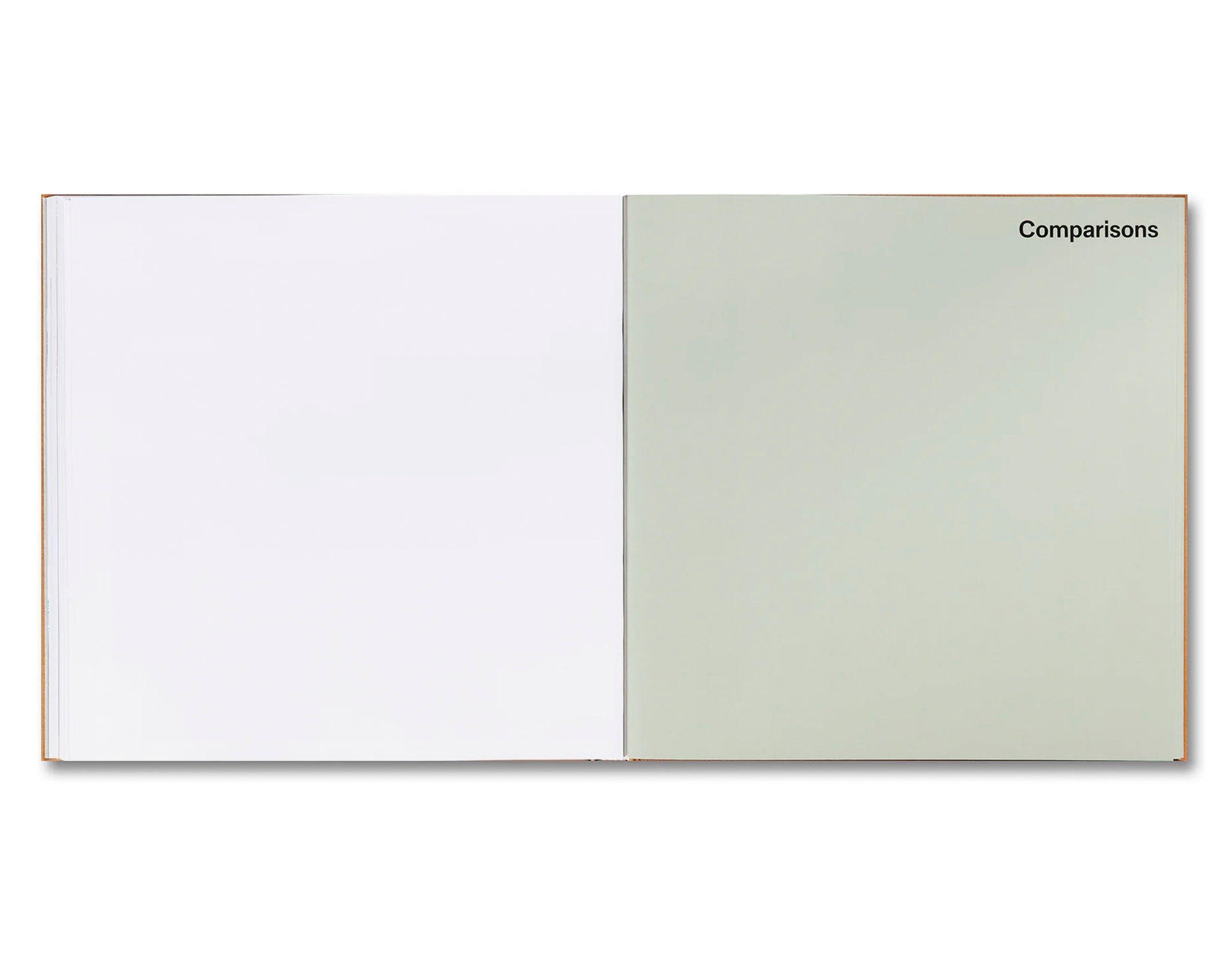 AT HOME IN LONDON: THE MEWS HOUSE by Ellis Woodman