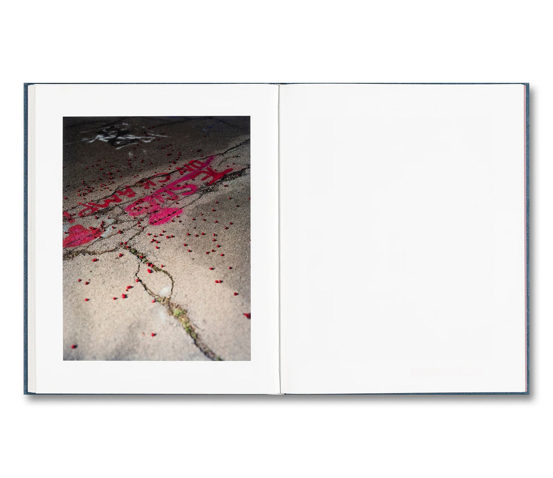 KING, QUEEN, KNAVE by Gregory Halpern [SIGNED]