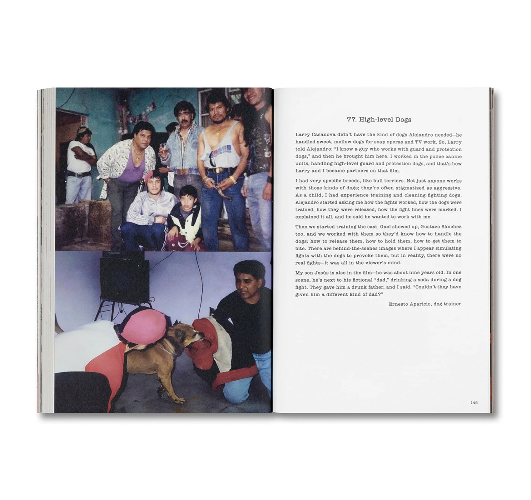 UNLEASHING AMORES PERROS by Fernando Llanos [ENGLISH EDITION]