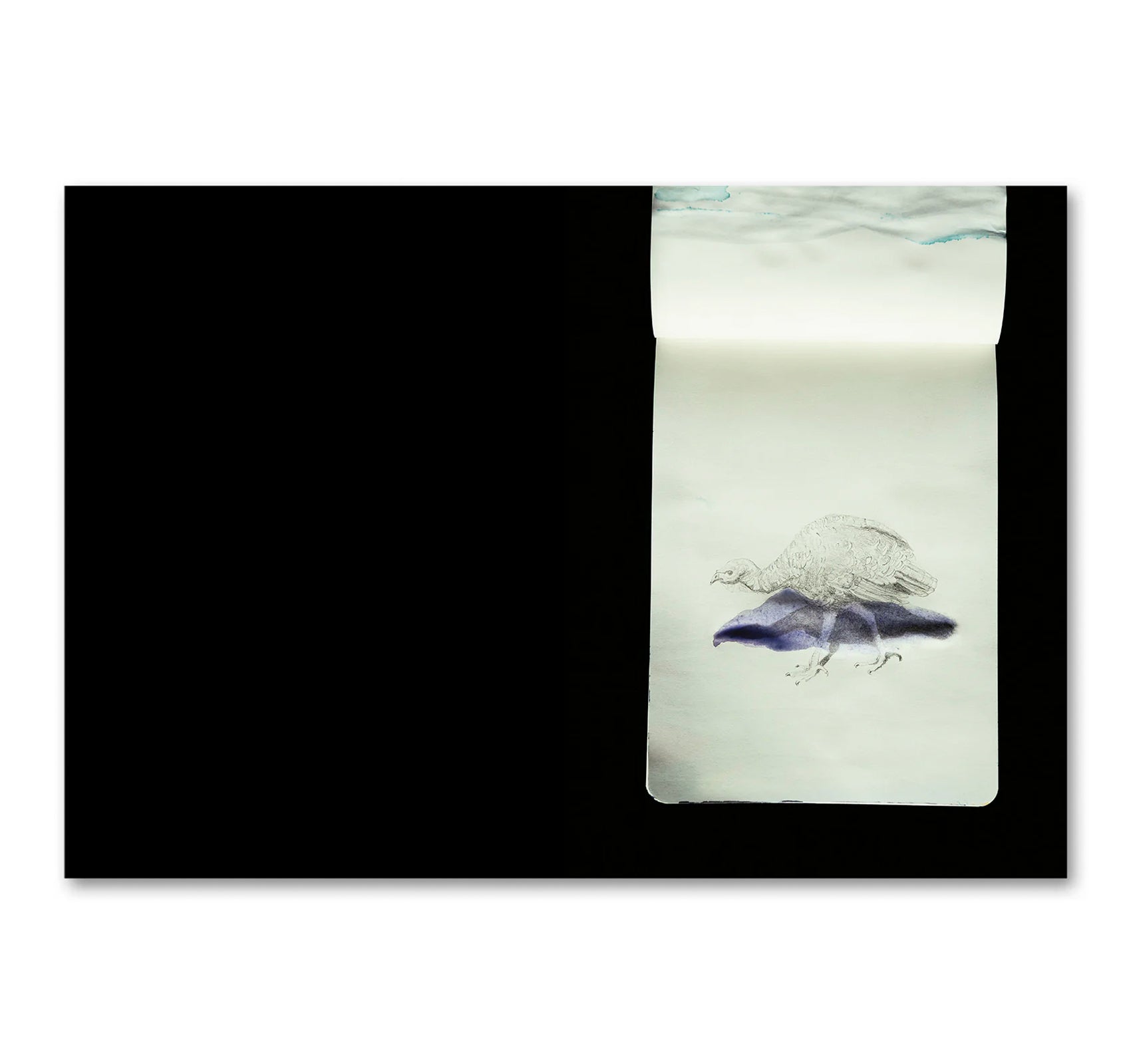 LA CASA ISLA by Anne Golaz