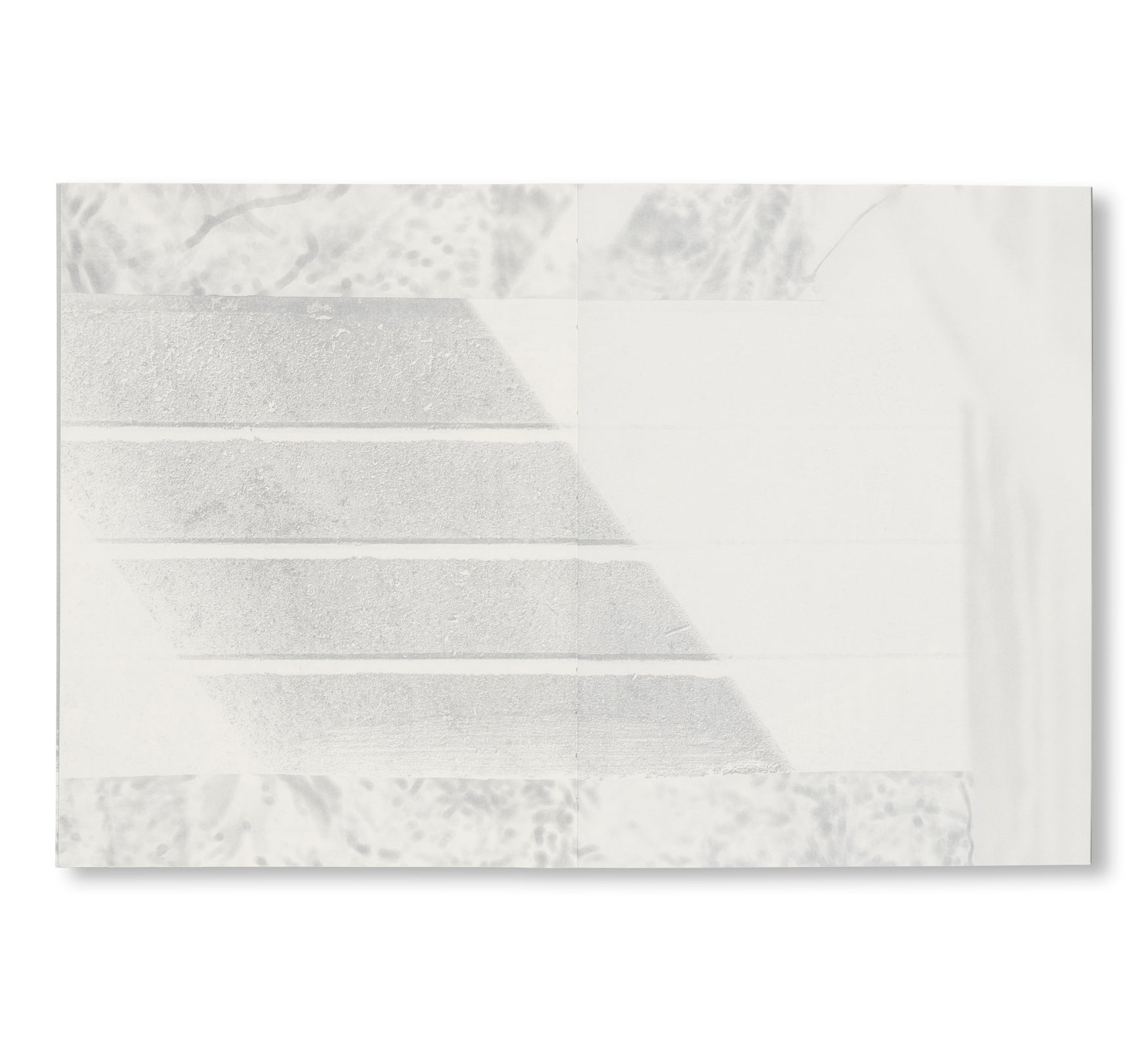 DETAILS AND AESTHETICS: UNKNOWN BRUTALISM ARCHITECTURE IN HONG KONG by Bob Pang, Kevin Mak