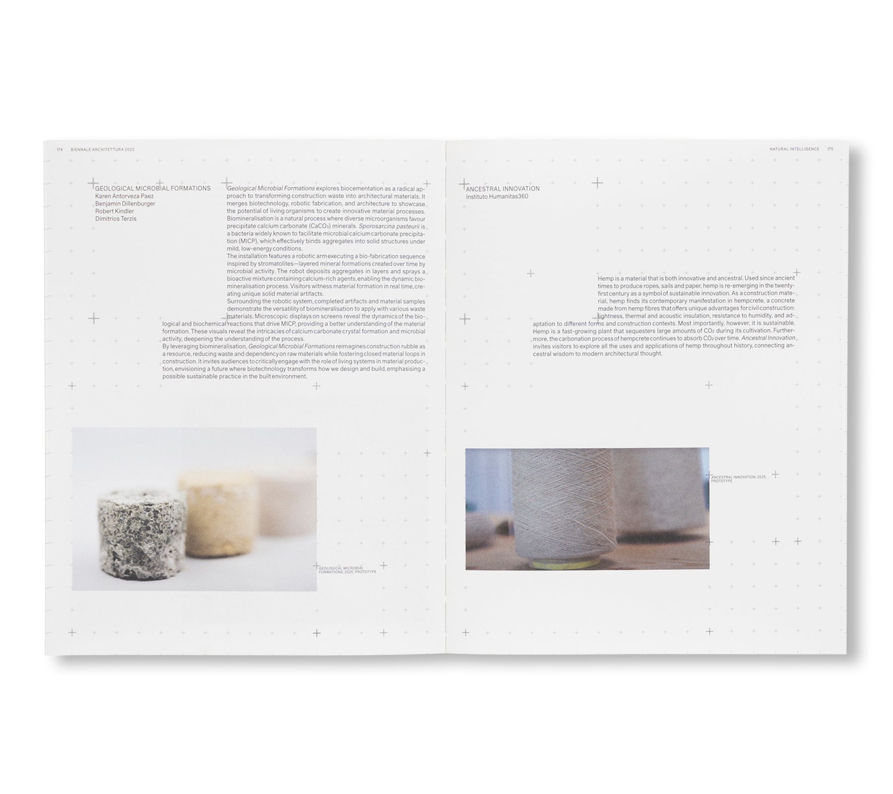 BIENNALE ARCHITETTURA 2025: INTELLIGENS. NATURAL. ARTIFICIAL. COLLECTIVE.