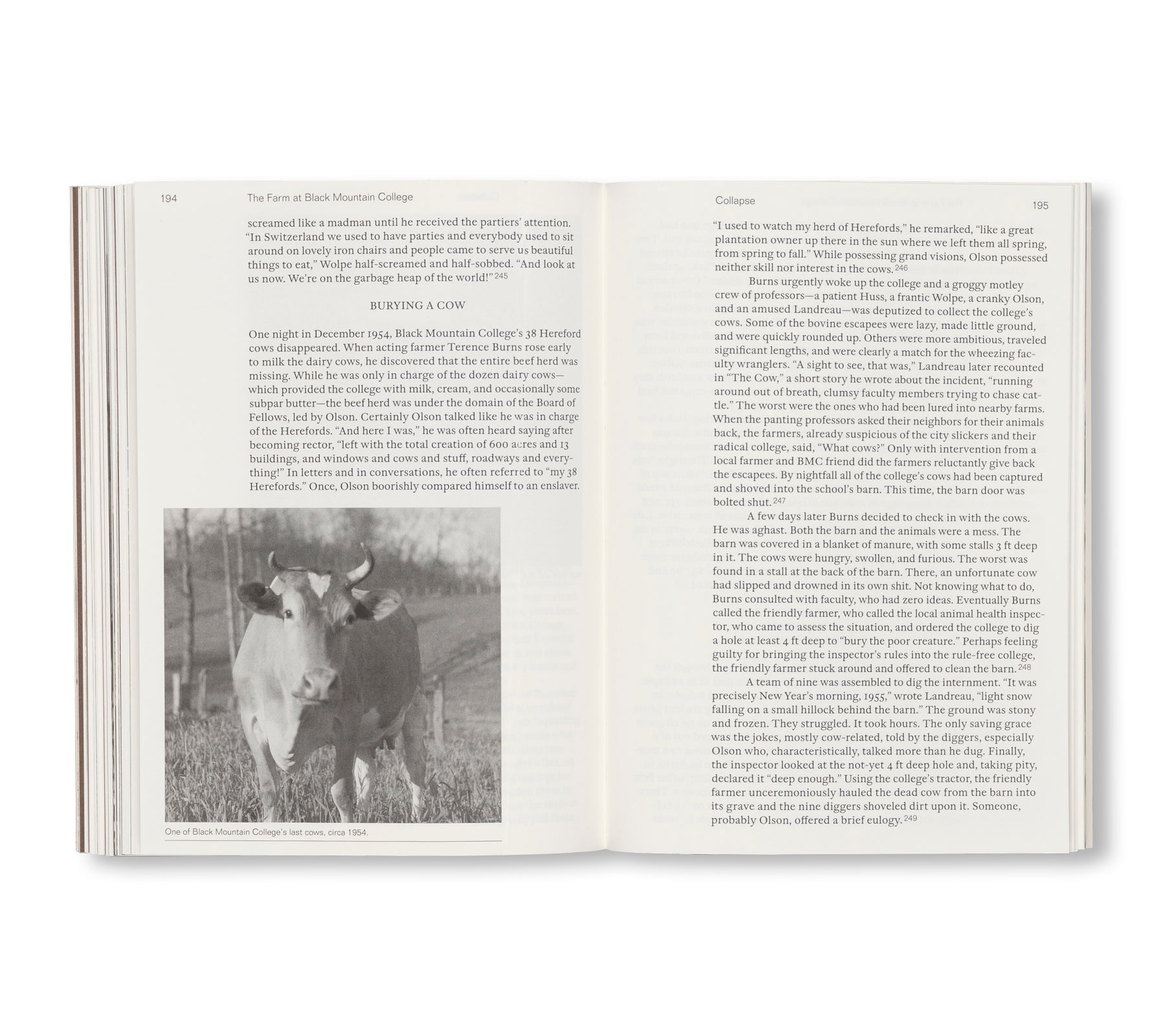 THE FARM AT BLACK MOUNTAIN COLLEGE by David Silver