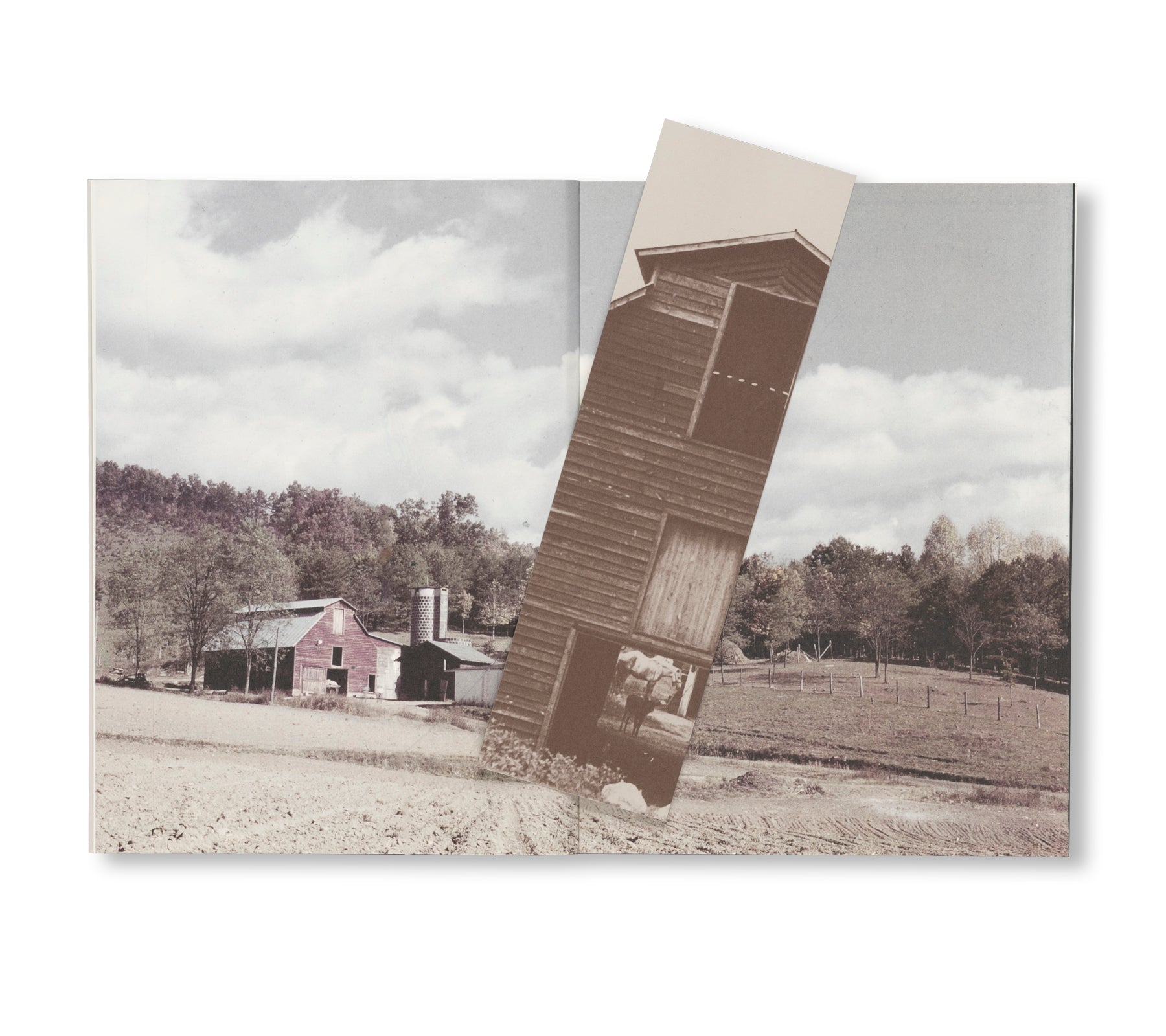 THE FARM AT BLACK MOUNTAIN COLLEGE by David Silver