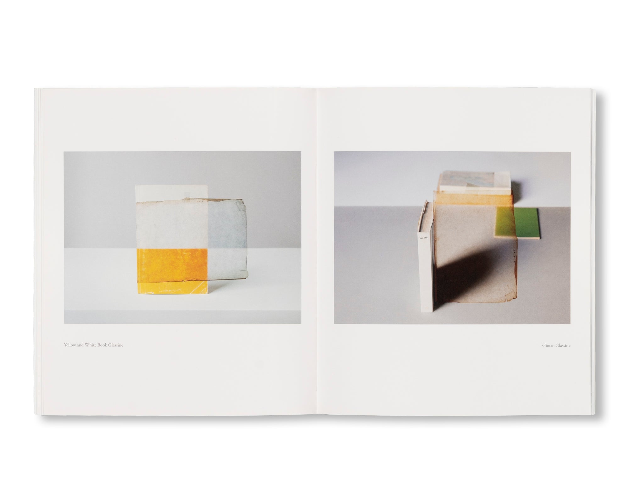 MORANDI’S BOOKS by Mary Ellen Bartley