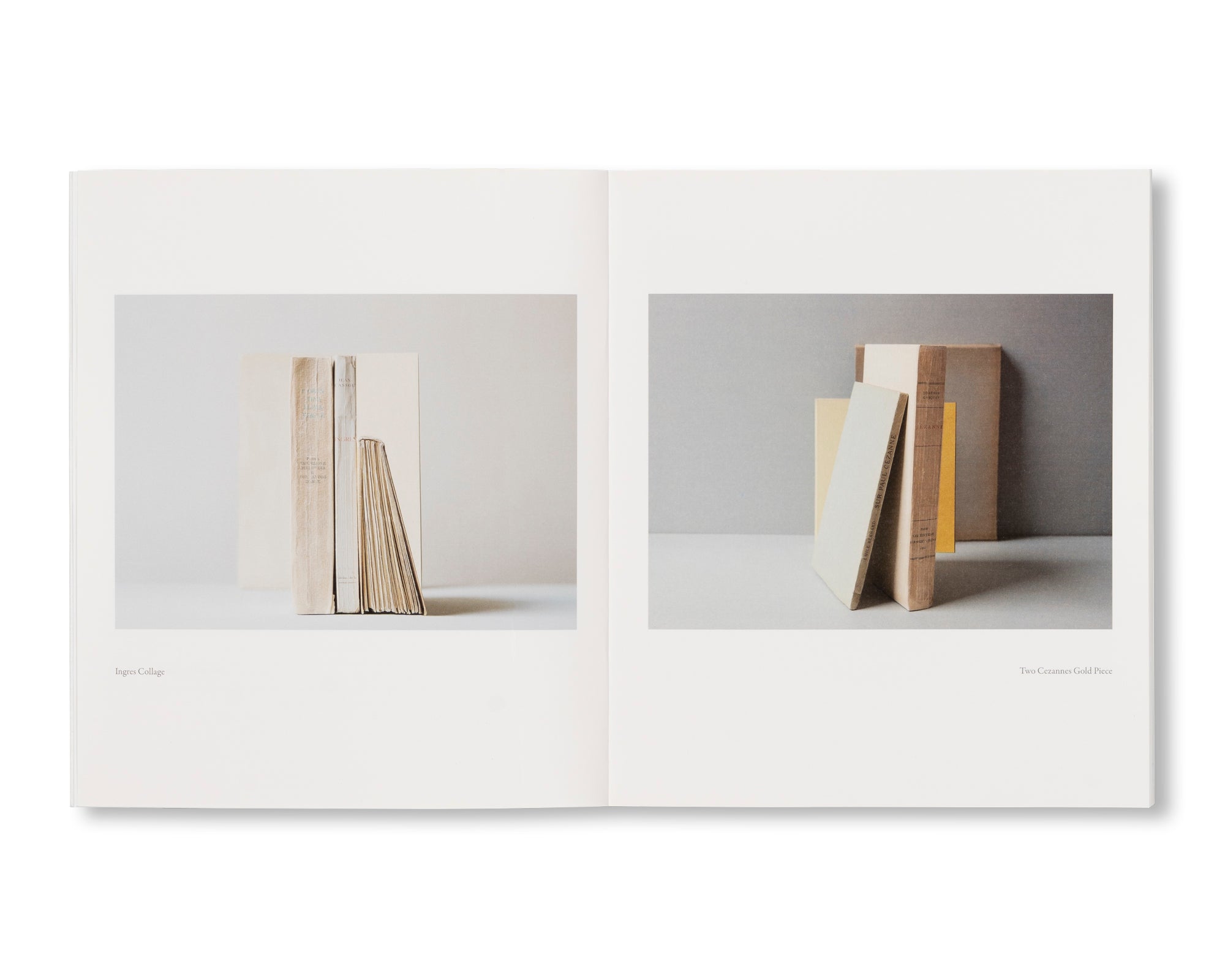 MORANDI’S BOOKS by Mary Ellen Bartley