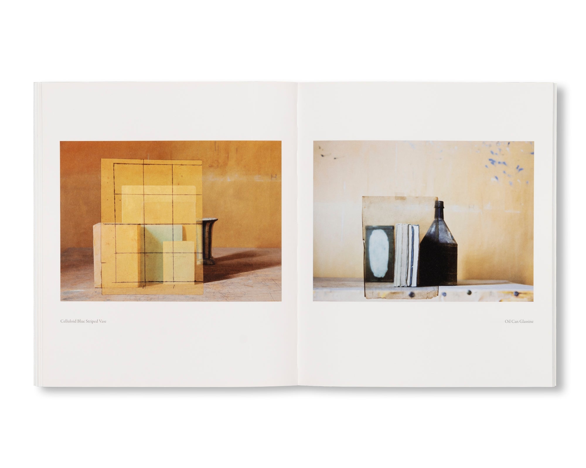 MORANDI’S BOOKS by Mary Ellen Bartley