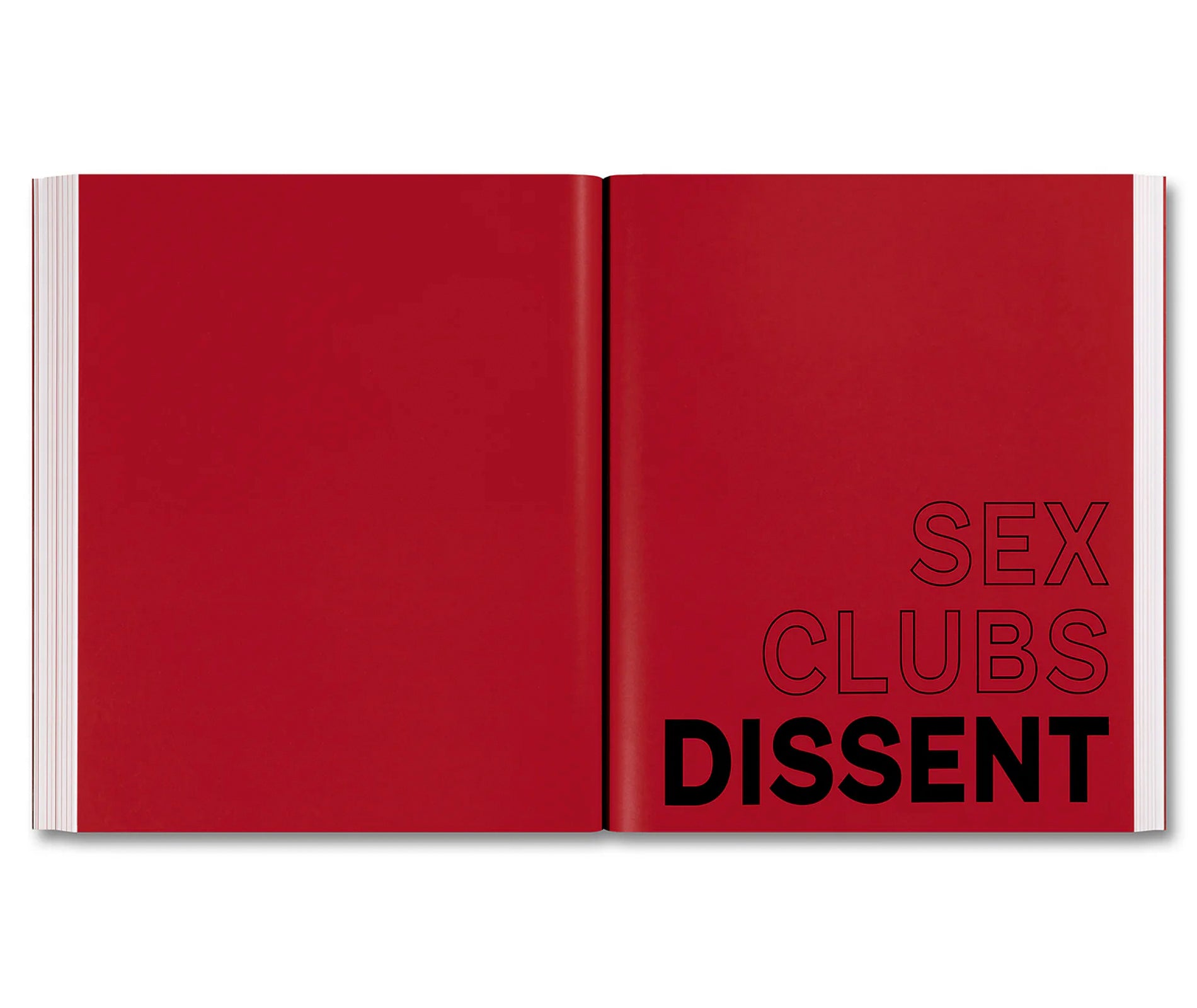 SEX, CLUBS, DISSENT: VISUALISING QUEER NIGHTLIFE by Amelia Abraham