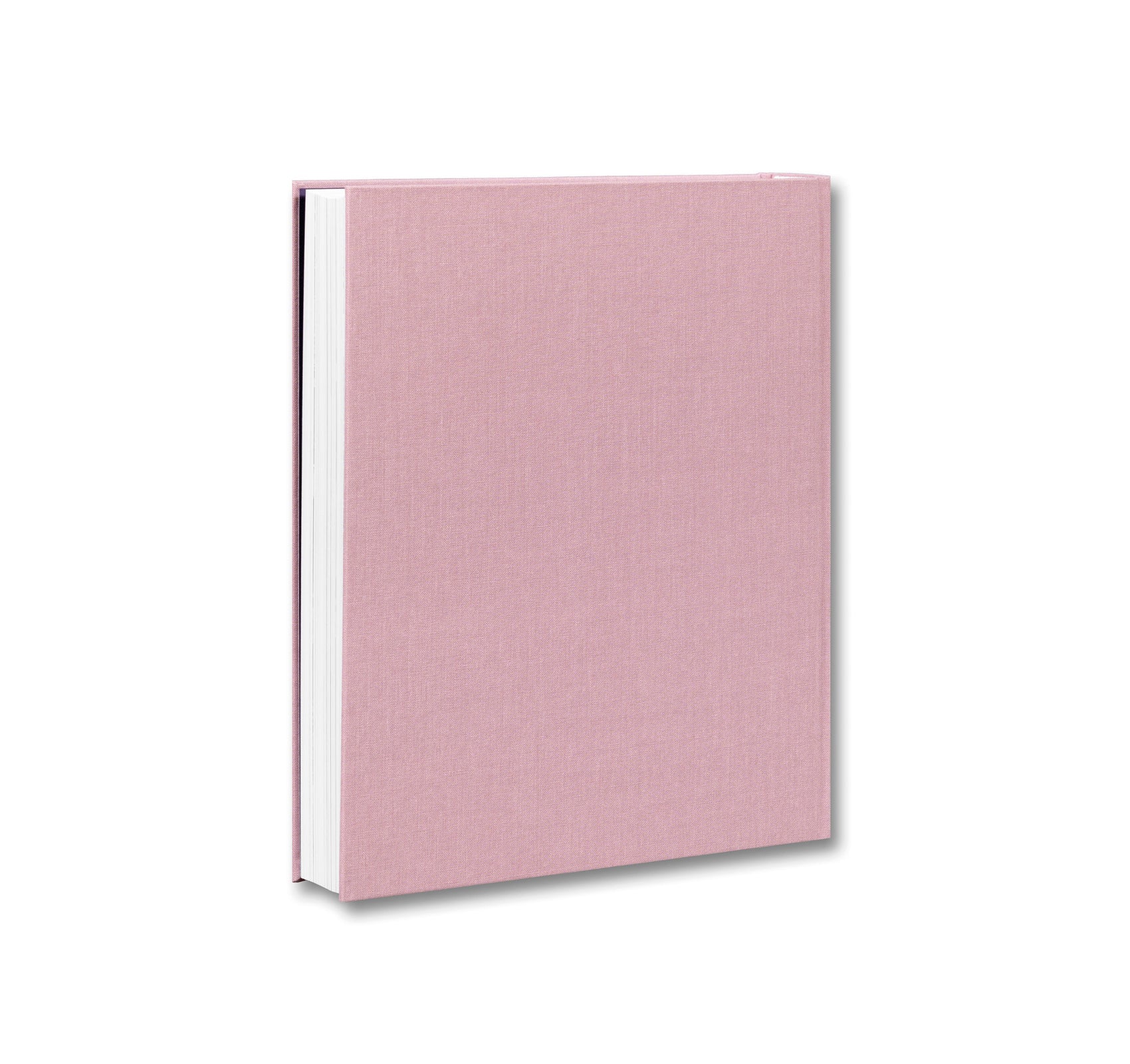 COLLECTED WORKS: VOLUME 3 2010–2020 by Caruso St John