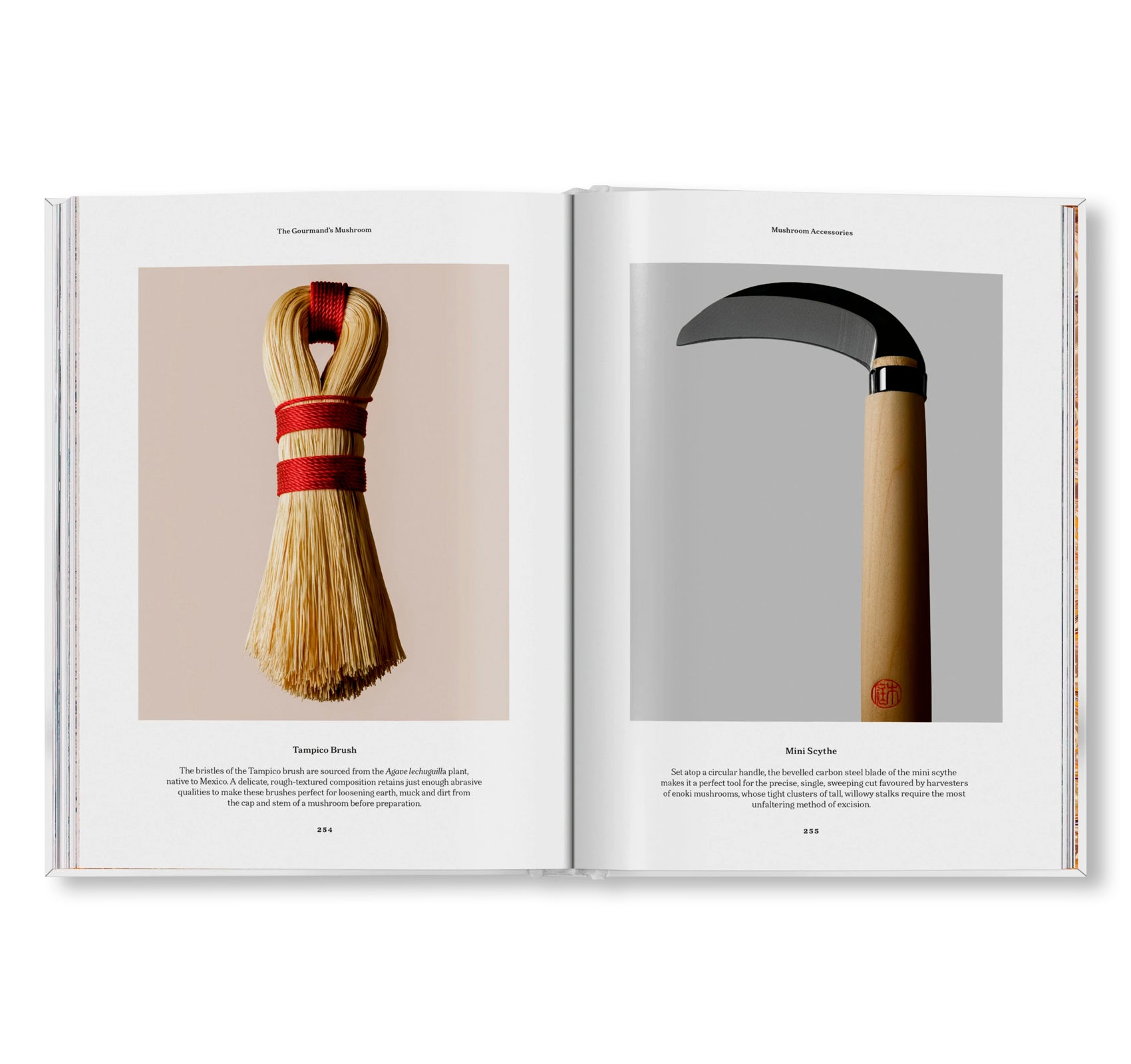 THE GOURMAND'S MUSHROOM. A COLLECTION OF STORIES AND RECIPES by The Gourmand