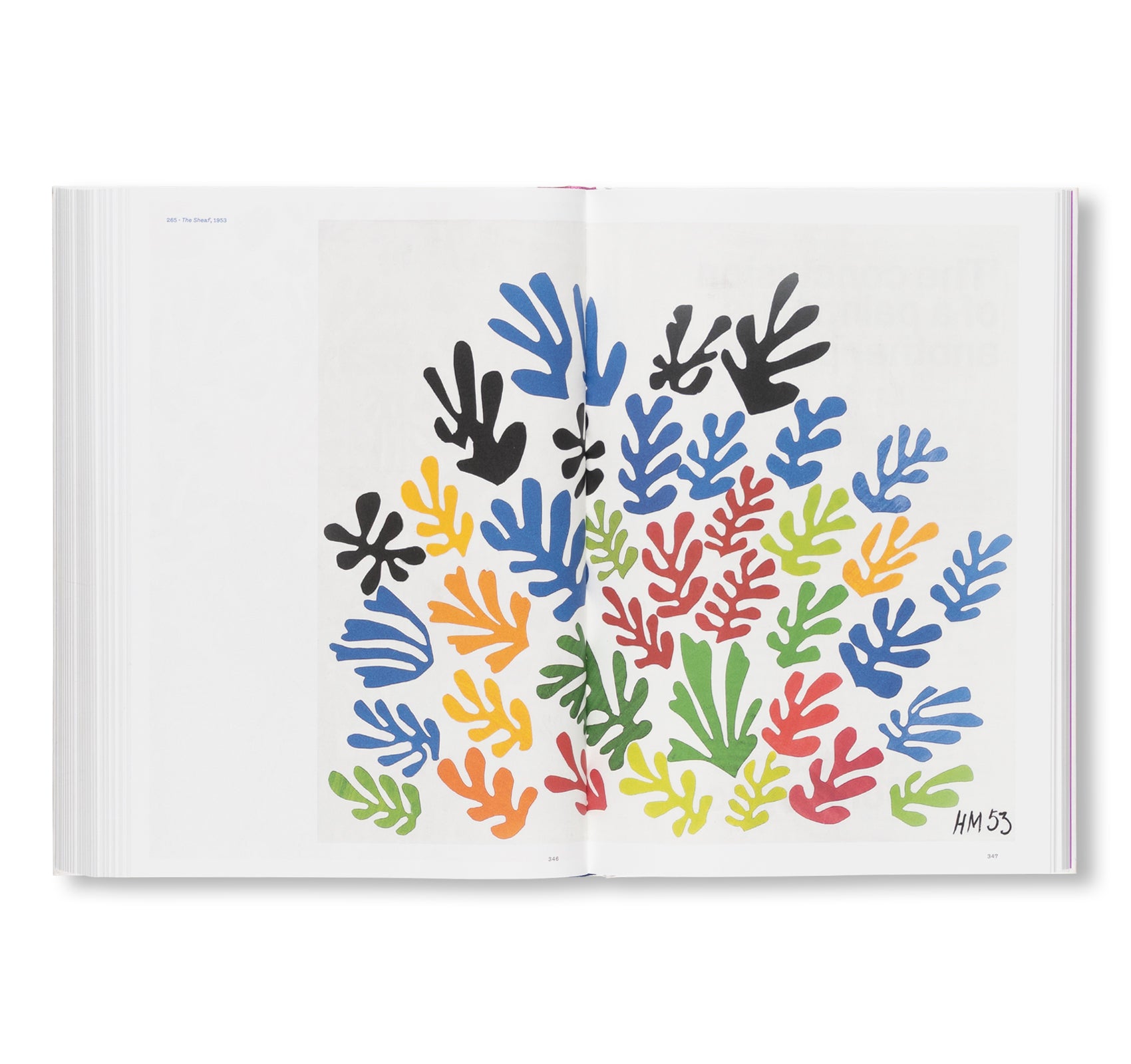 COLOUR UNBOUND: HENRI MATISSE 1941–1954 by Henri Matisse