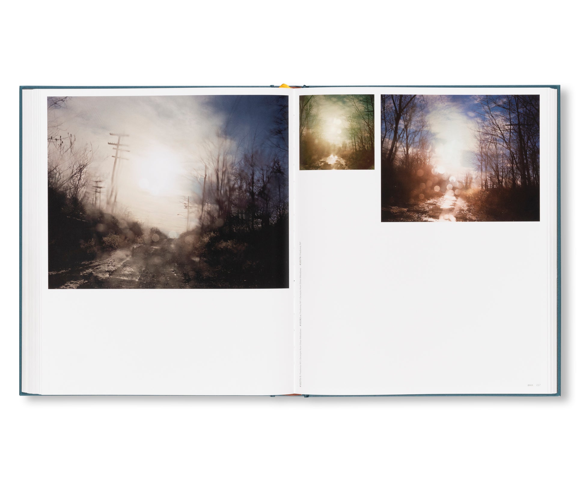 INTIMATE DISTANCE: OVER THIRTY YEARS OF PHOTOGRAPHS, A CHRONOLOGICAL ALBUM  by Todd Hido [REVISED AND EXPANDED EDITION]