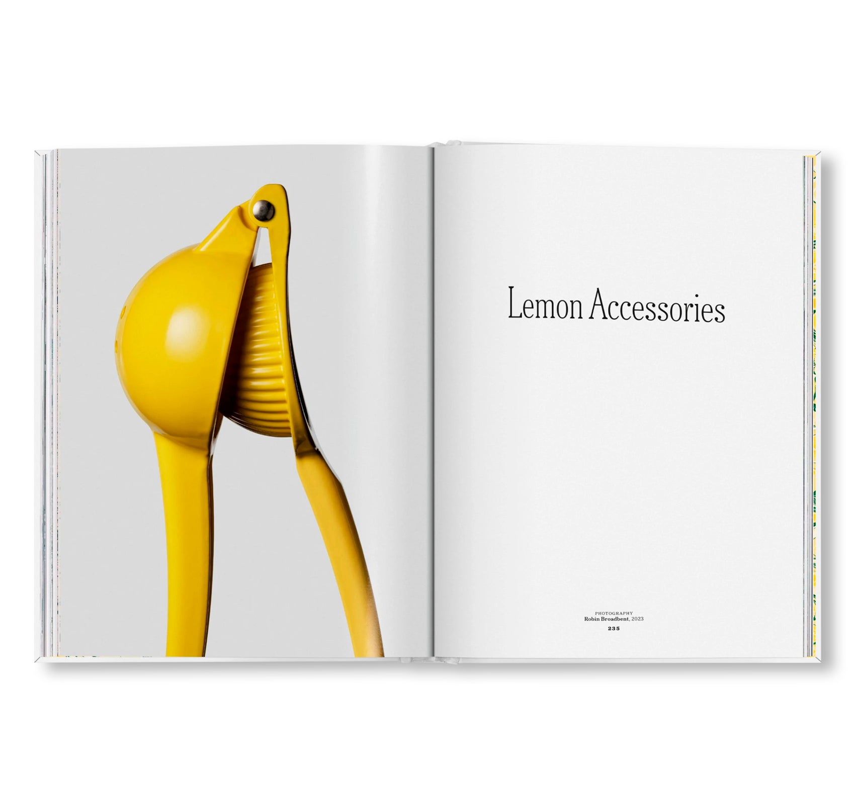 THE GOURMAND'S LEMON. A COLLECTION OF STORIES AND RECIPES by The Gourmand