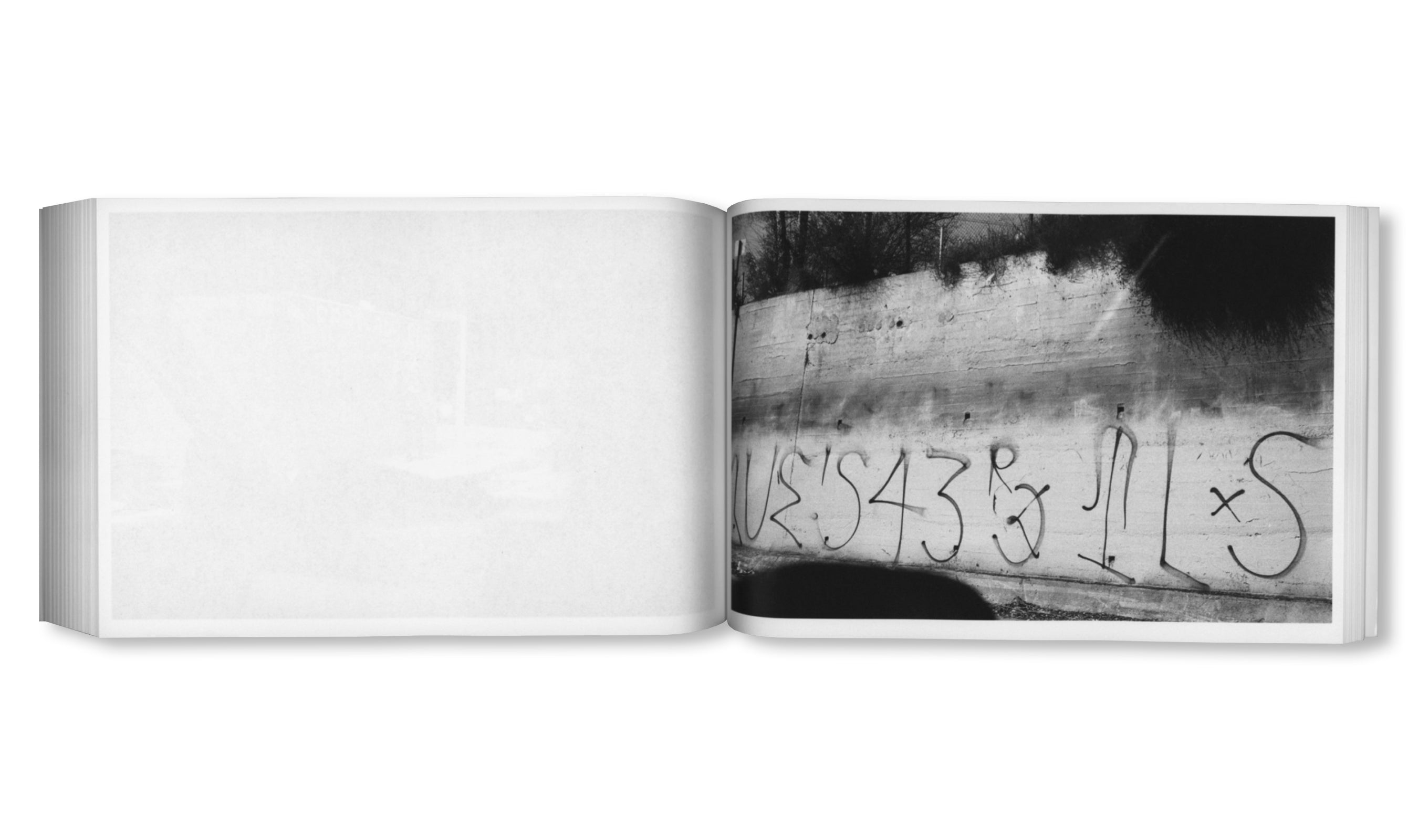 DAMAGED by Paul Grund [SIGNED]