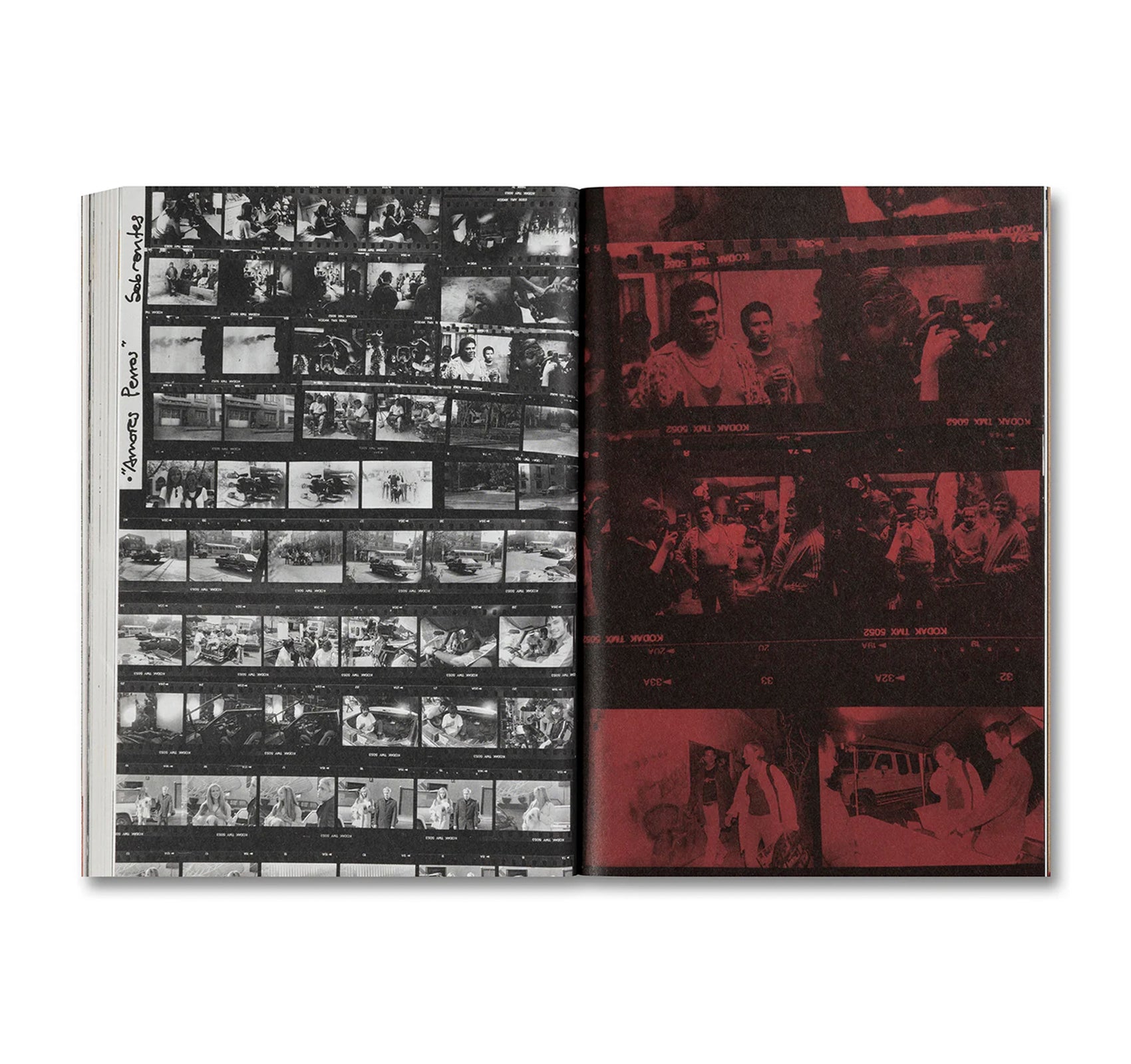 UNLEASHING AMORES PERROS by Fernando Llanos [ENGLISH EDITION]
