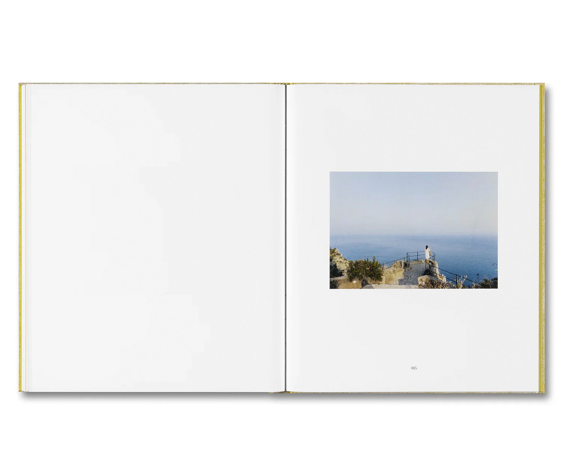 LUIGI GHIRRI FELICITÀ by Alessio Bolzoni, Luca Guadagnino