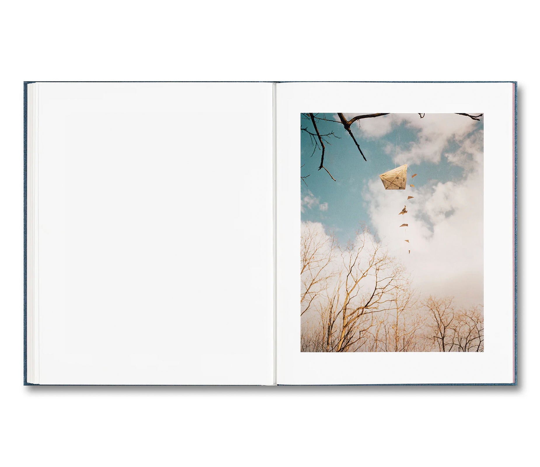 KING, QUEEN, KNAVE by Gregory Halpern