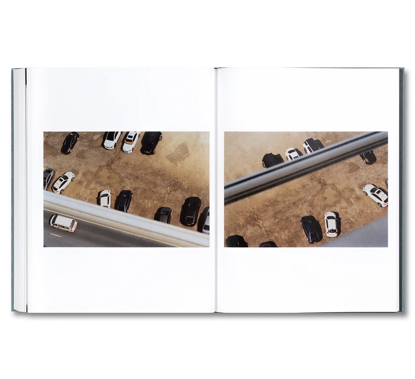 DISTRIBUTION by Daniel Shea [SIGNED]