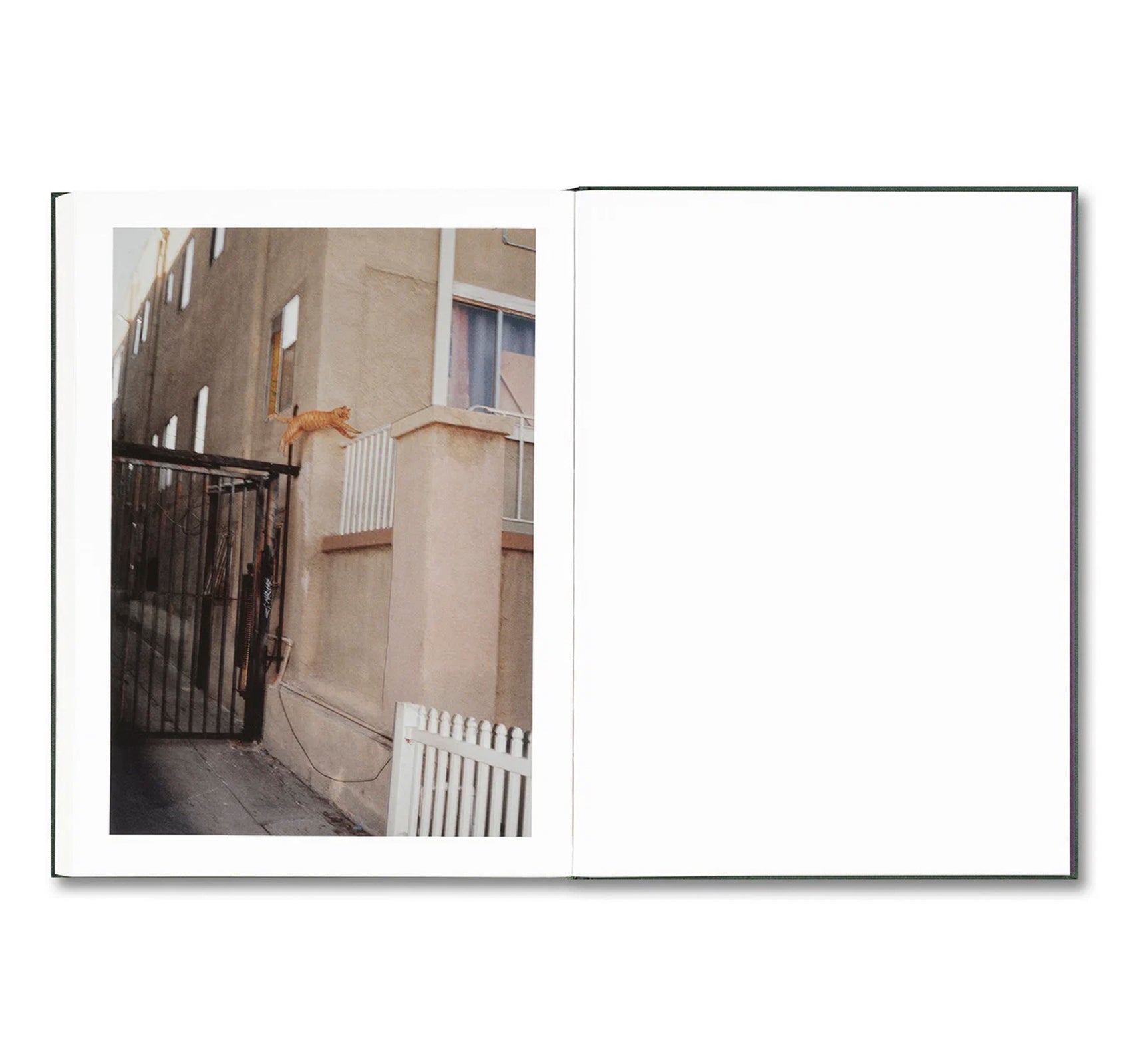 HOW ABOUT NEVER by Jerry Hsu [SIGNED]