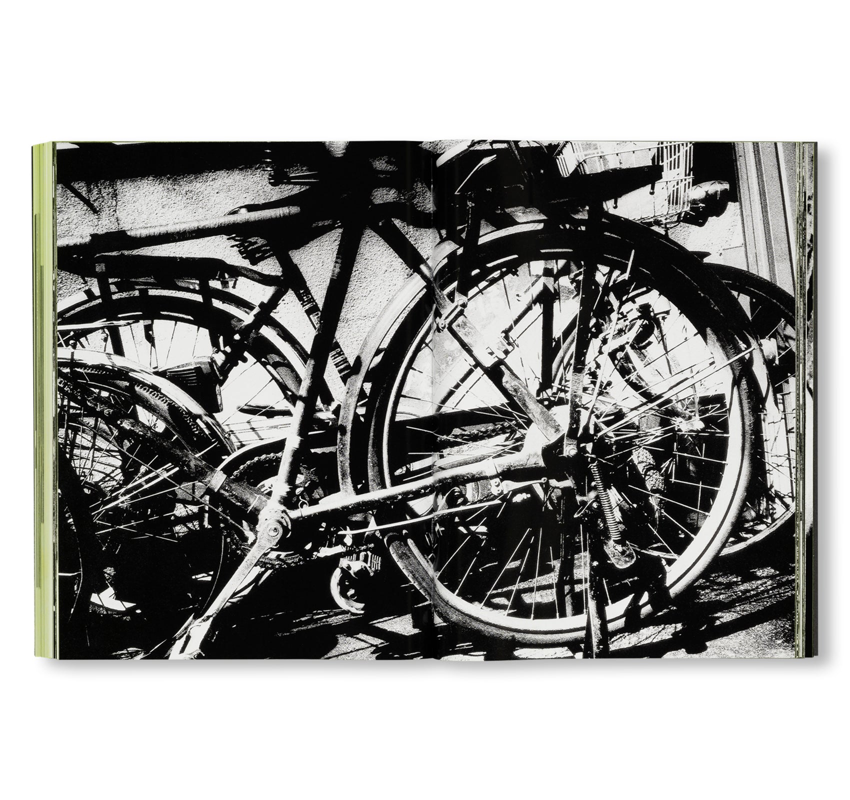 MORIYAMA: QUARTET by Daido Moriyama