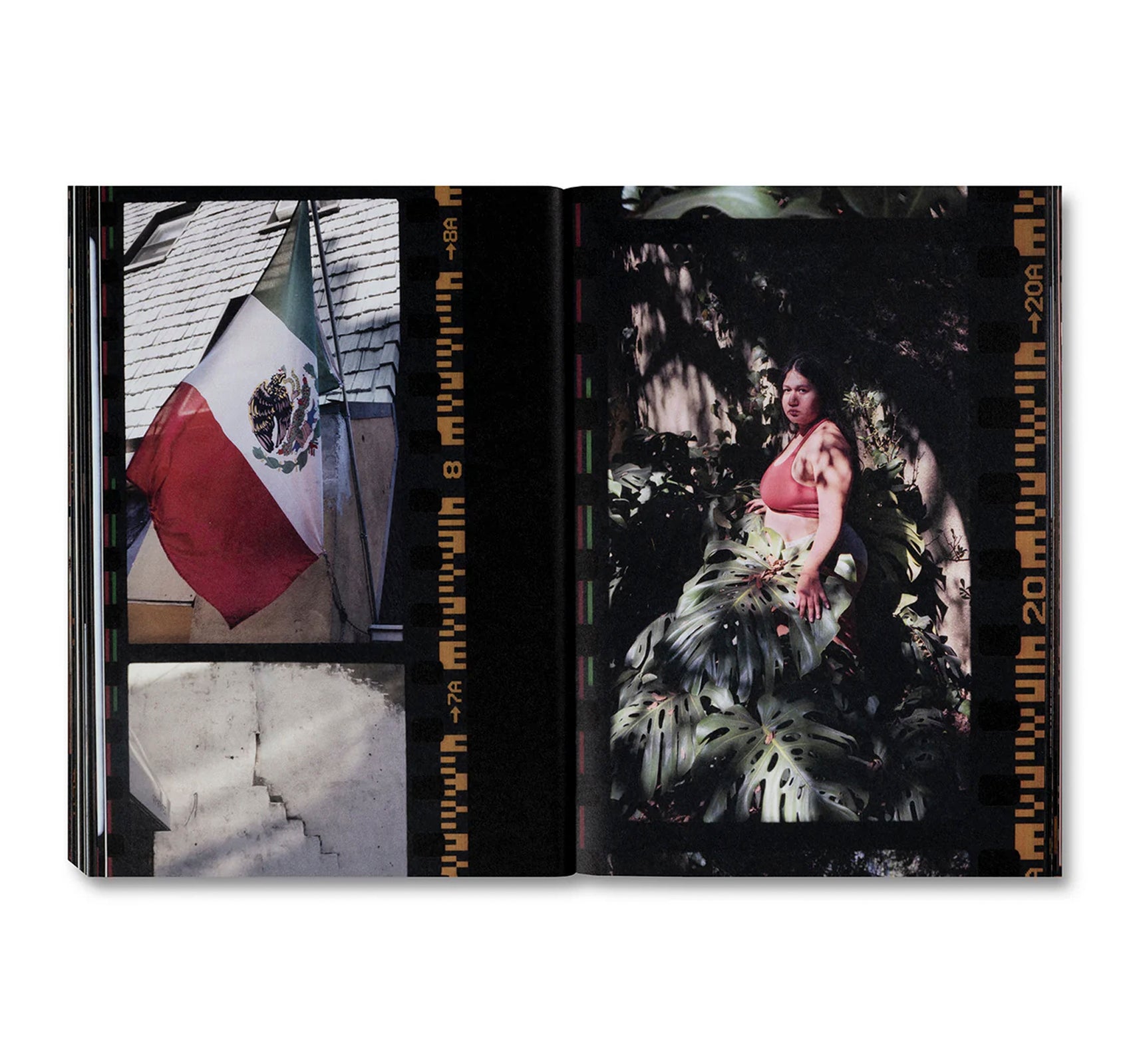 SMALL DEATH by Martha Naranjo Sandoval