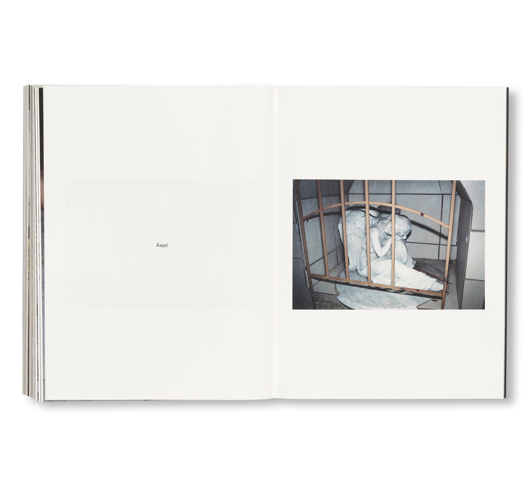 FAILING by Mike Brodie