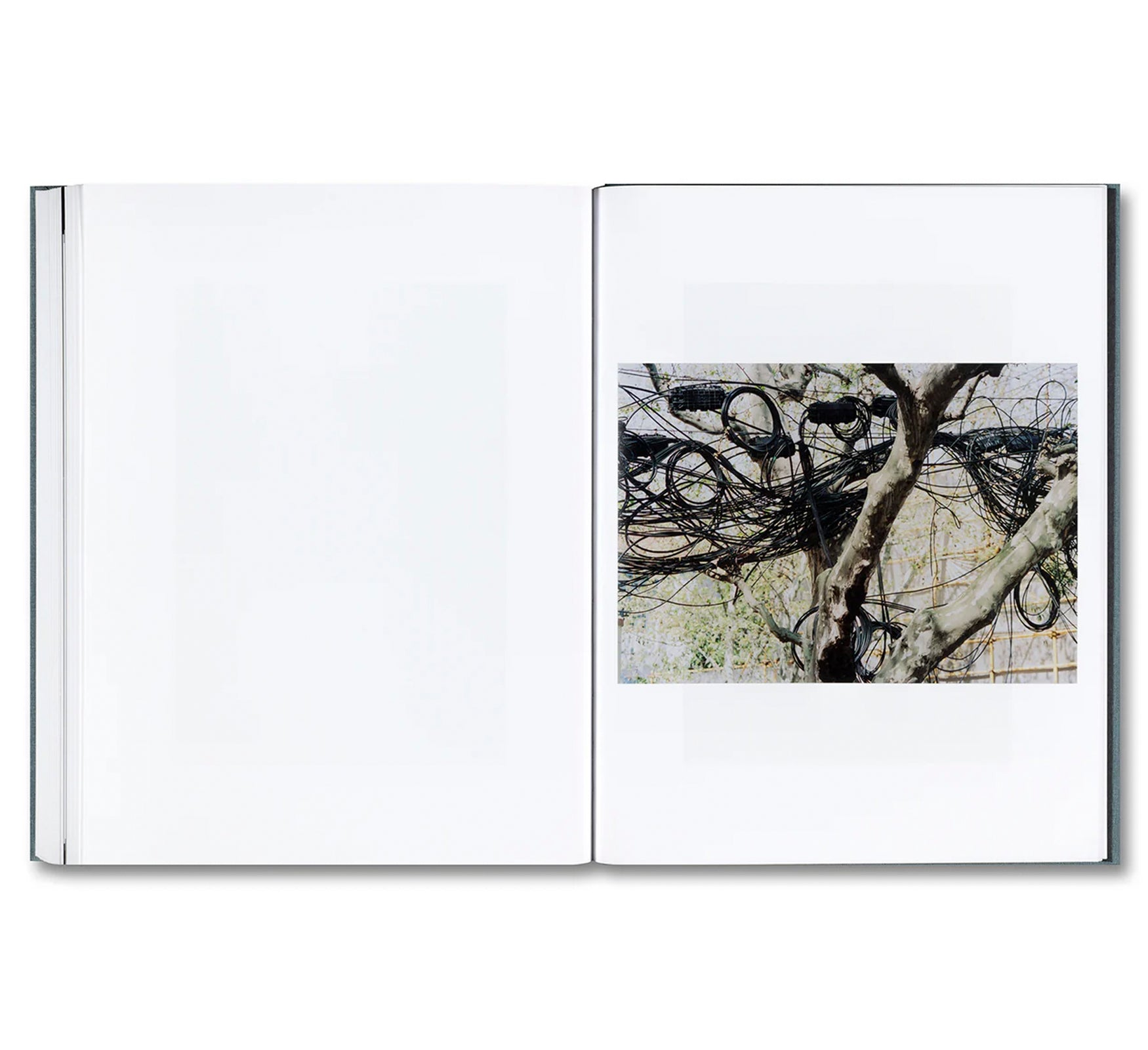 DISTRIBUTION by Daniel Shea [SIGNED]
