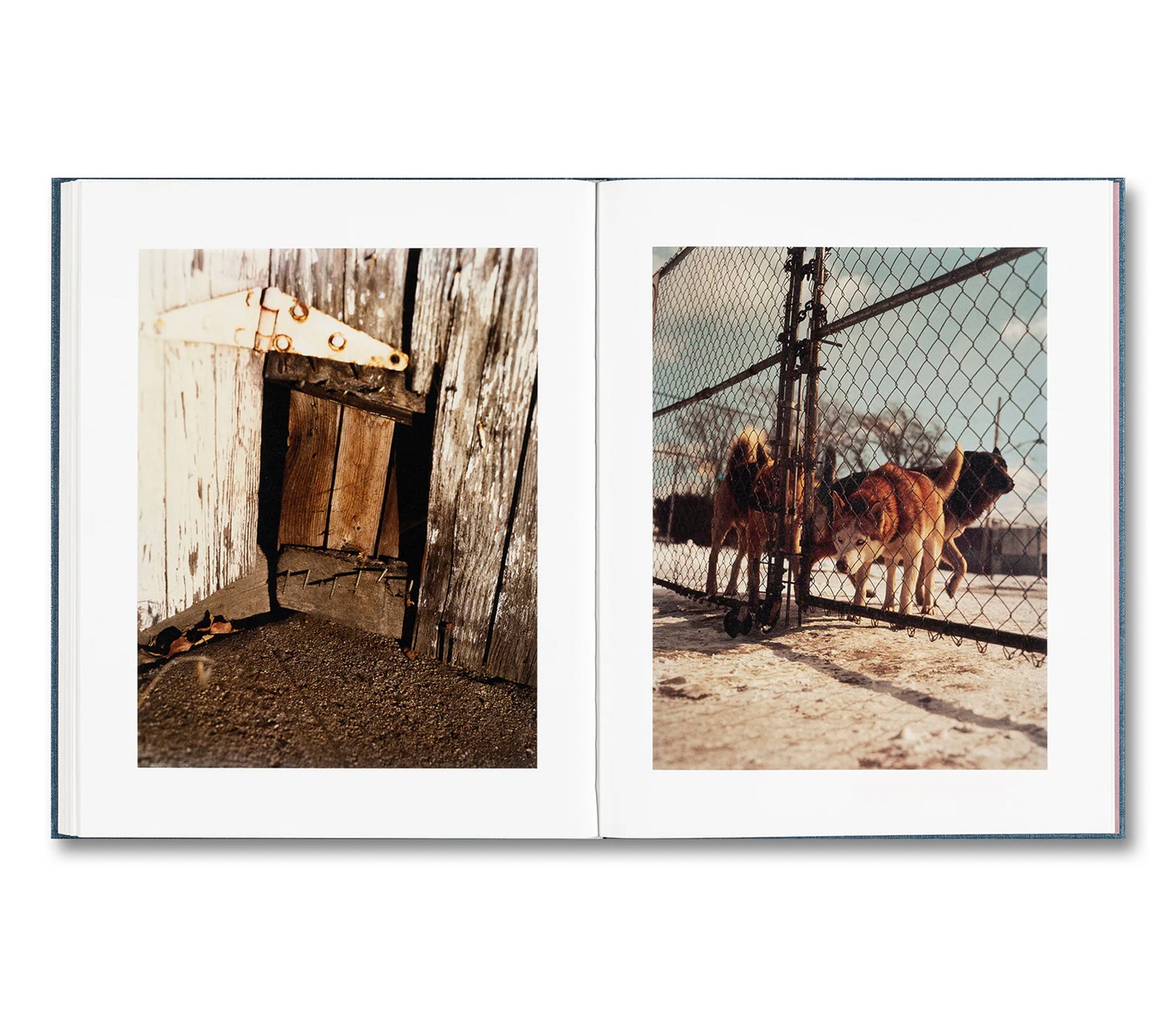 KING, QUEEN, KNAVE by Gregory Halpern