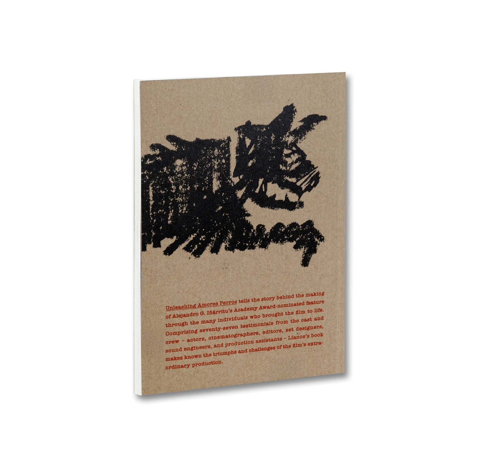 UNLEASHING AMORES PERROS by Fernando Llanos [ENGLISH EDITION]