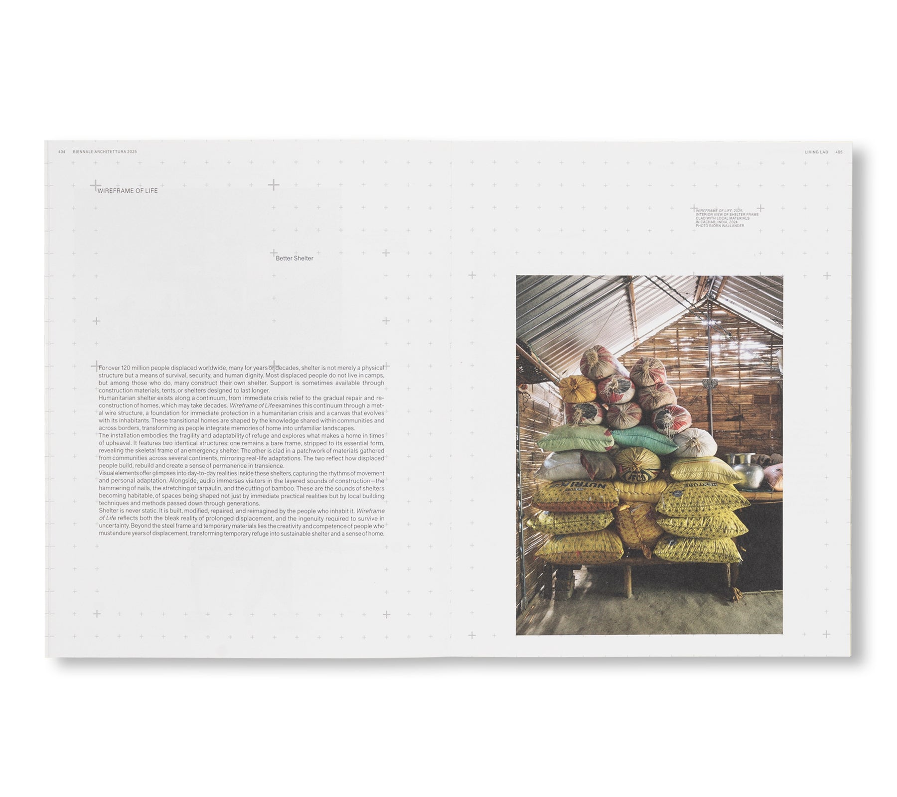 BIENNALE ARCHITETTURA 2025: INTELLIGENS. NATURAL. ARTIFICIAL. COLLECTIVE.