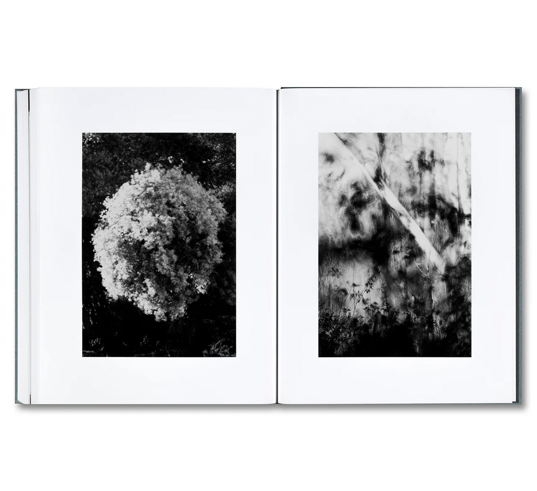DISTRIBUTION by Daniel Shea