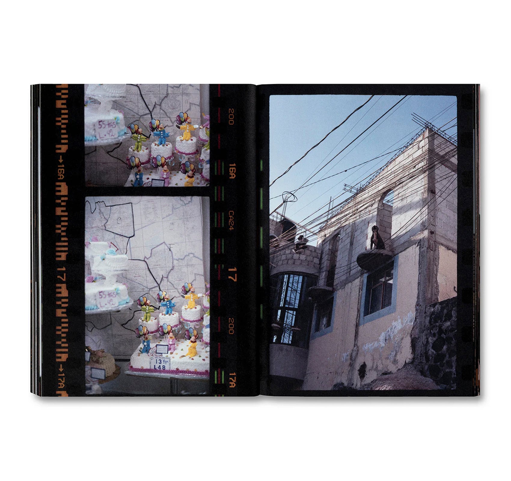 SMALL DEATH by Martha Naranjo Sandoval