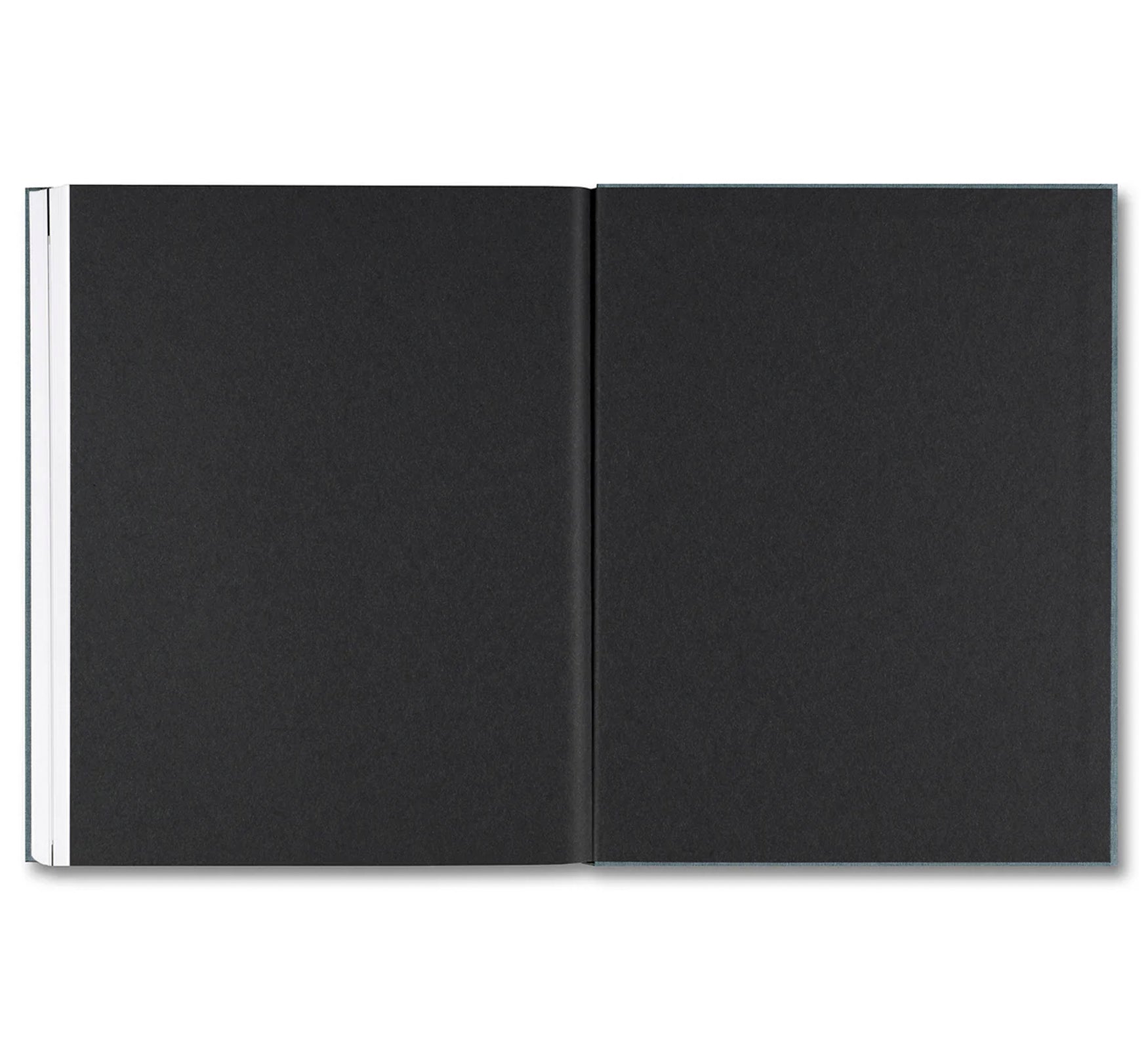 DISTRIBUTION by Daniel Shea [SIGNED]