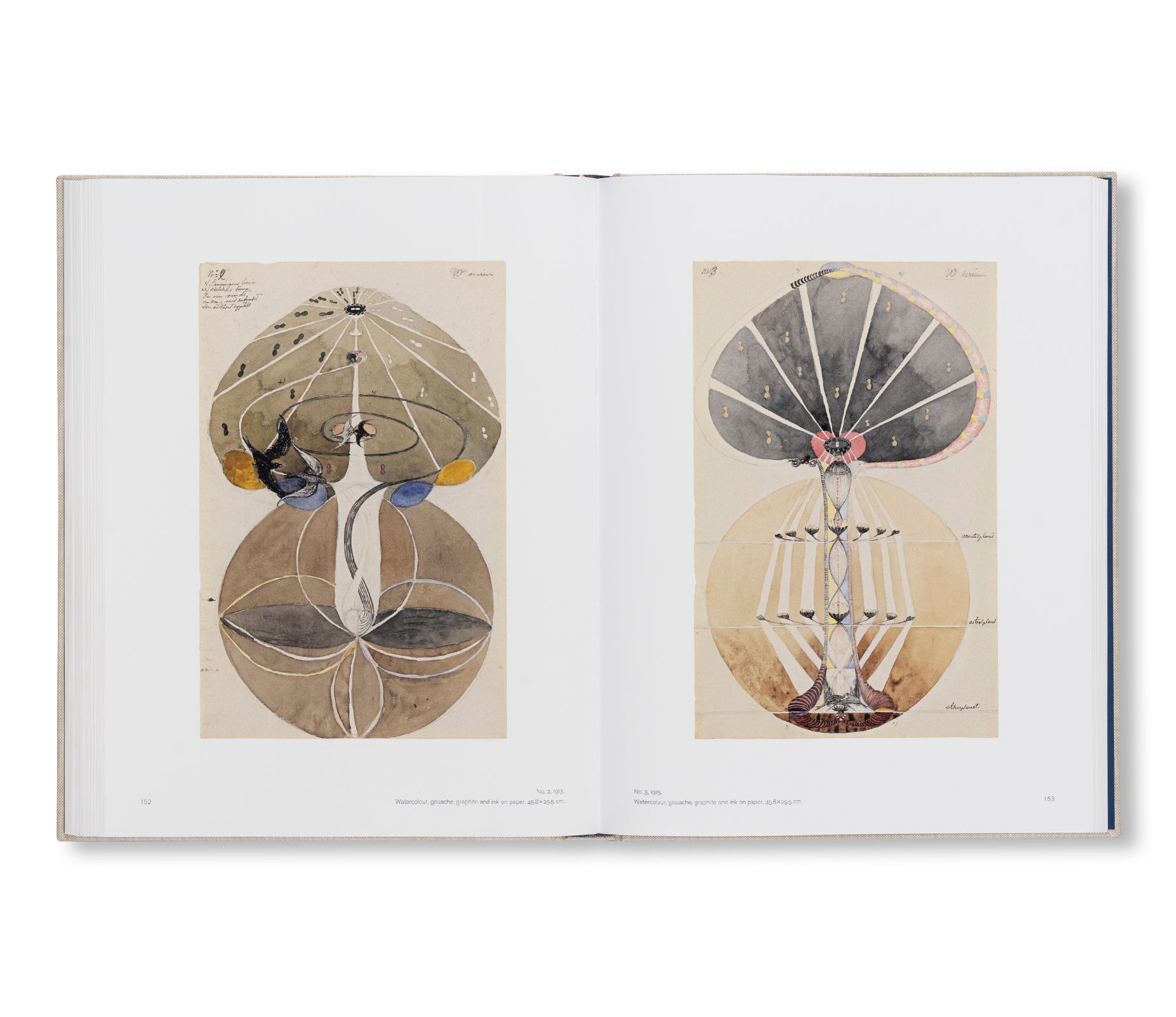HILMA AF KLINT: THE PAINTINGS FOR THE TEMPLE 1906–1915: CATALOGUE RAISONNÉ VOLUME II by Hilma af Klint