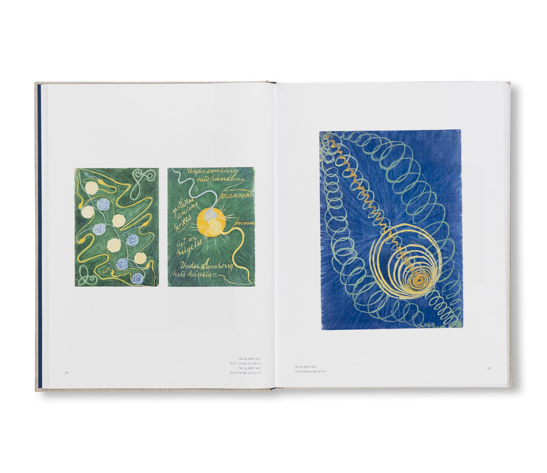 HILMA AF KLINT: THE PAINTINGS FOR THE TEMPLE 1906–1915: CATALOGUE RAISONNÉ VOLUME II by Hilma af Klint