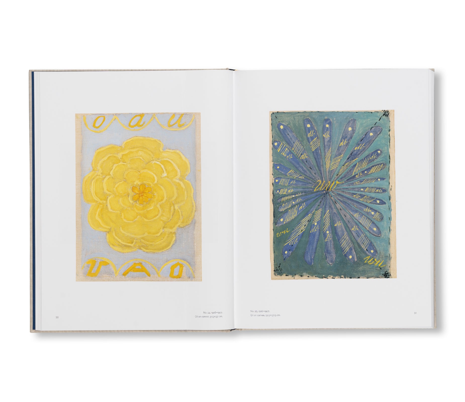 HILMA AF KLINT: THE PAINTINGS FOR THE TEMPLE 1906–1915: CATALOGUE RAISONNÉ VOLUME II by Hilma af Klint