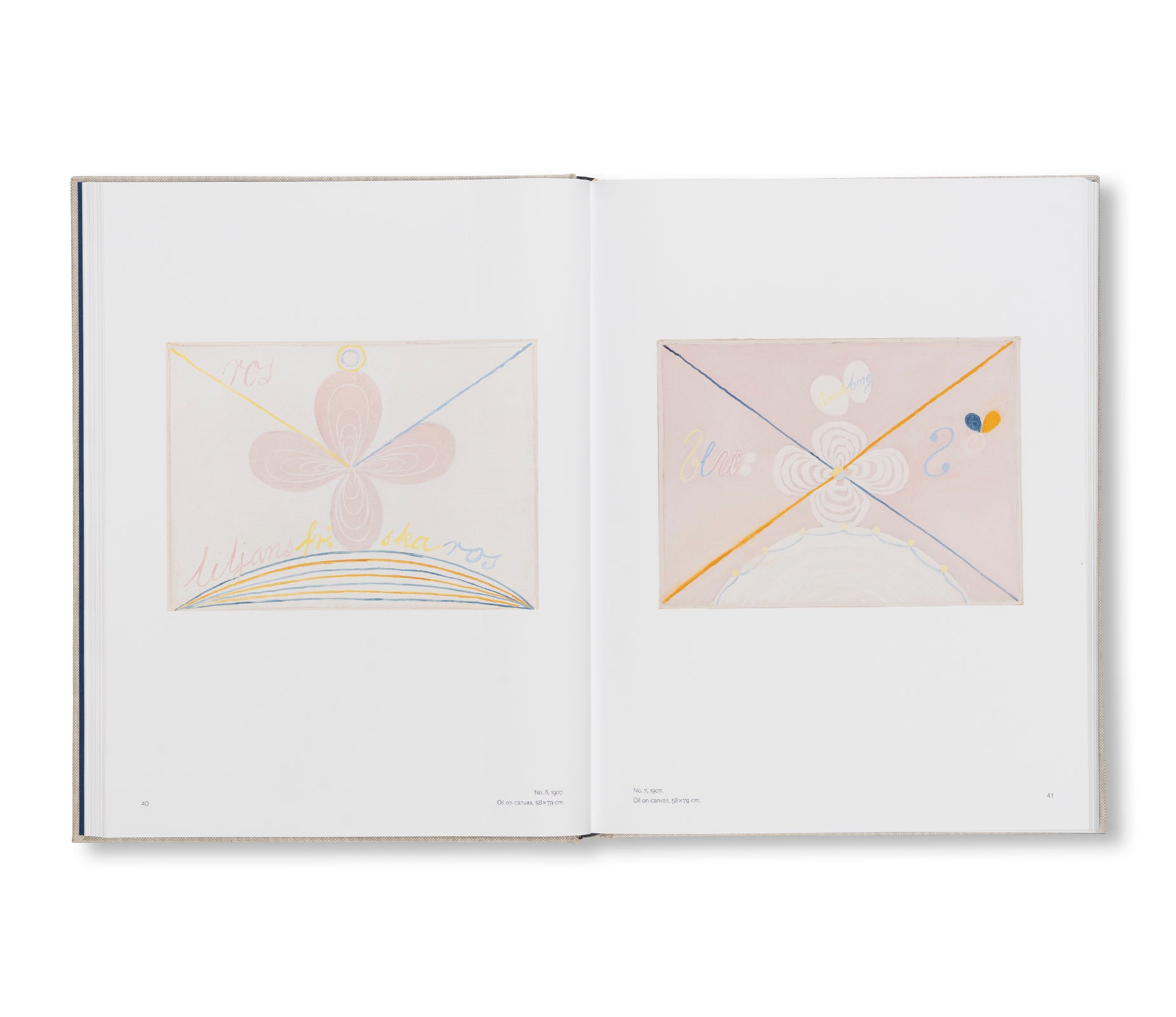 HILMA AF KLINT: THE PAINTINGS FOR THE TEMPLE 1906–1915: CATALOGUE RAISONNÉ VOLUME II by Hilma af Klint