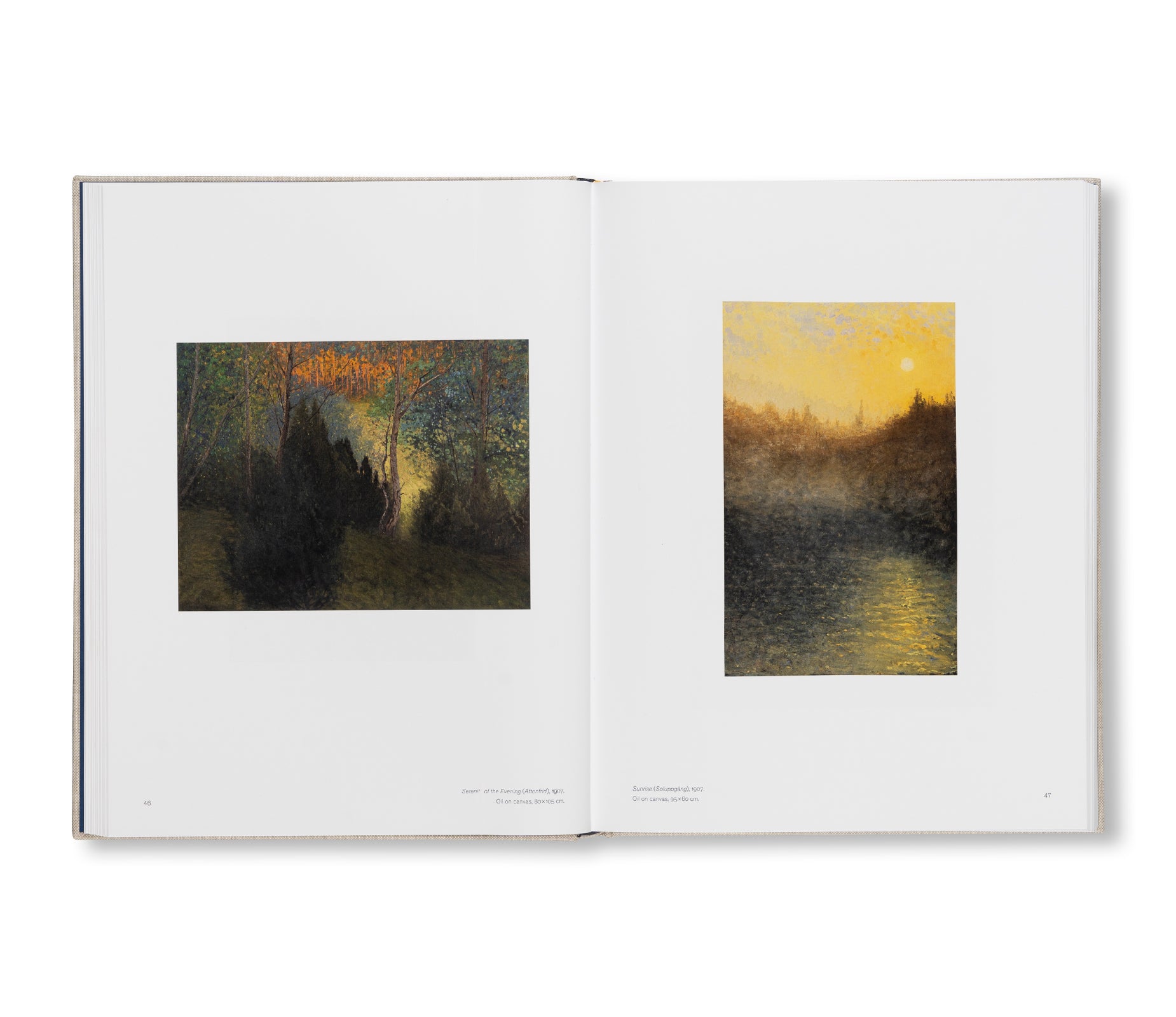HILMA AF KLINT: THE PAINTINGS FOR THE TEMPLE 1906–1915: CATALOGUE RAISONNÉ VOLUME II by Hilma af Klint